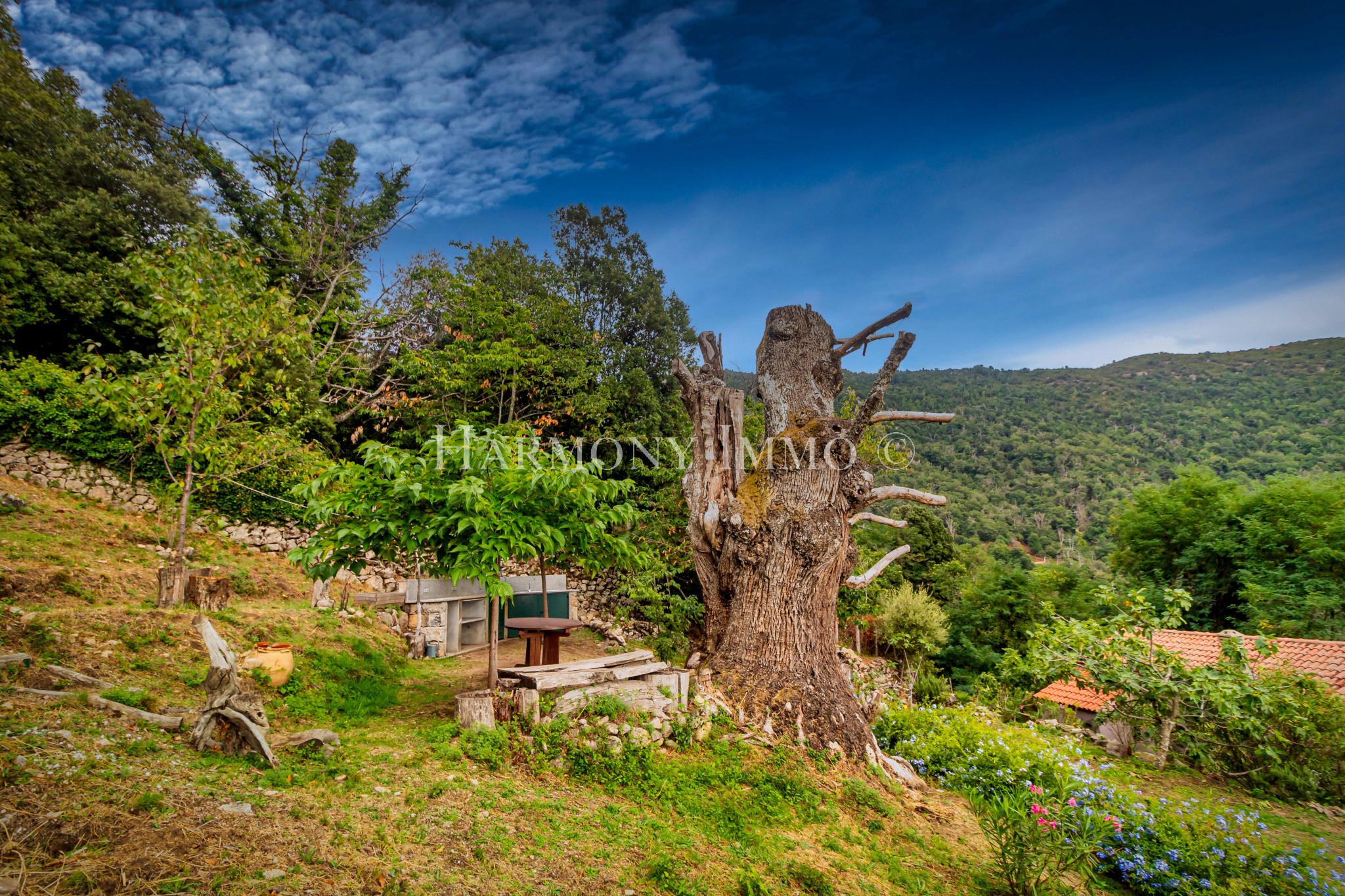 Vente Maison à Ajaccio 7 pièces