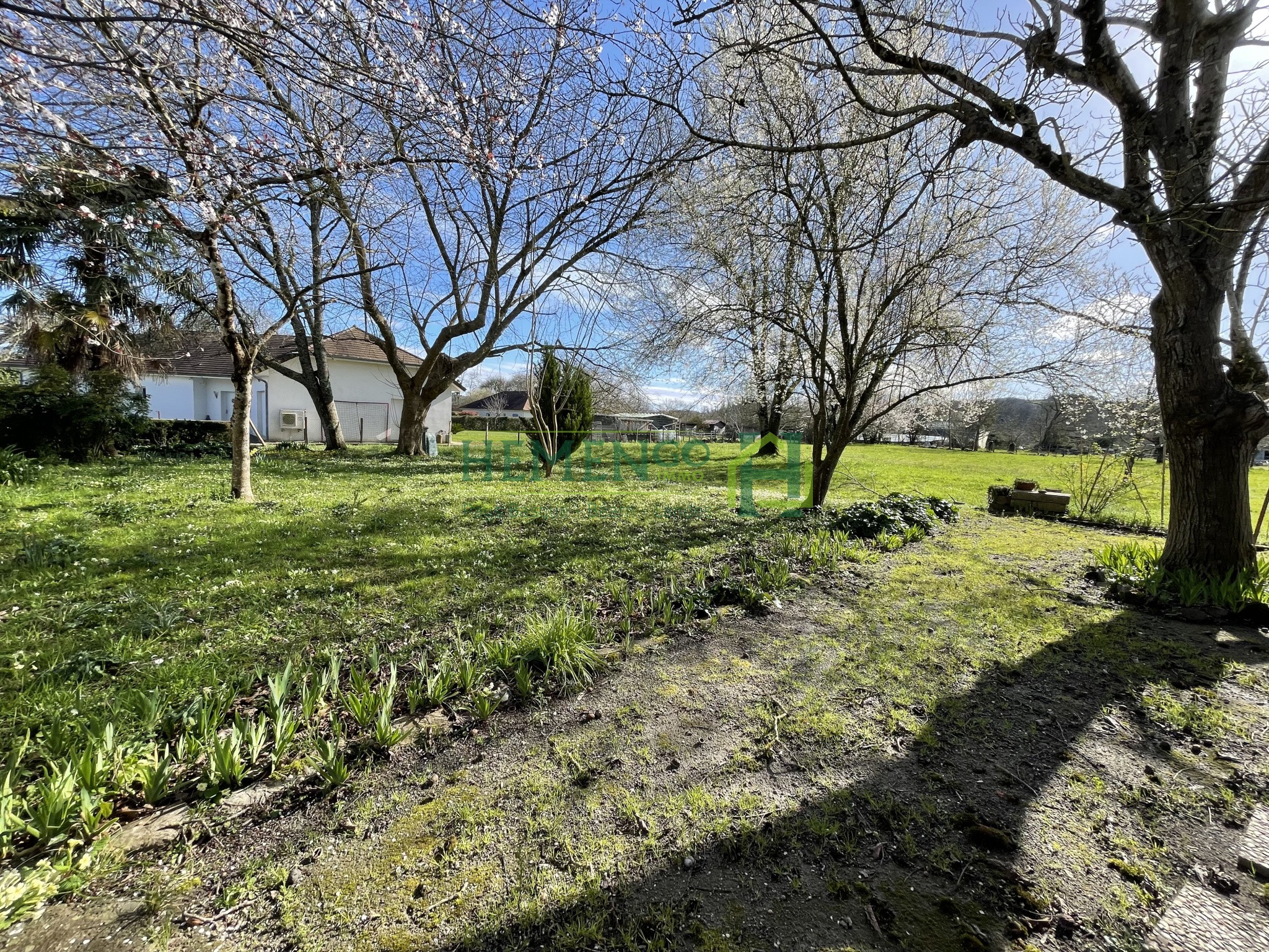 Vente Maison à Sauveterre-de-Béarn 9 pièces