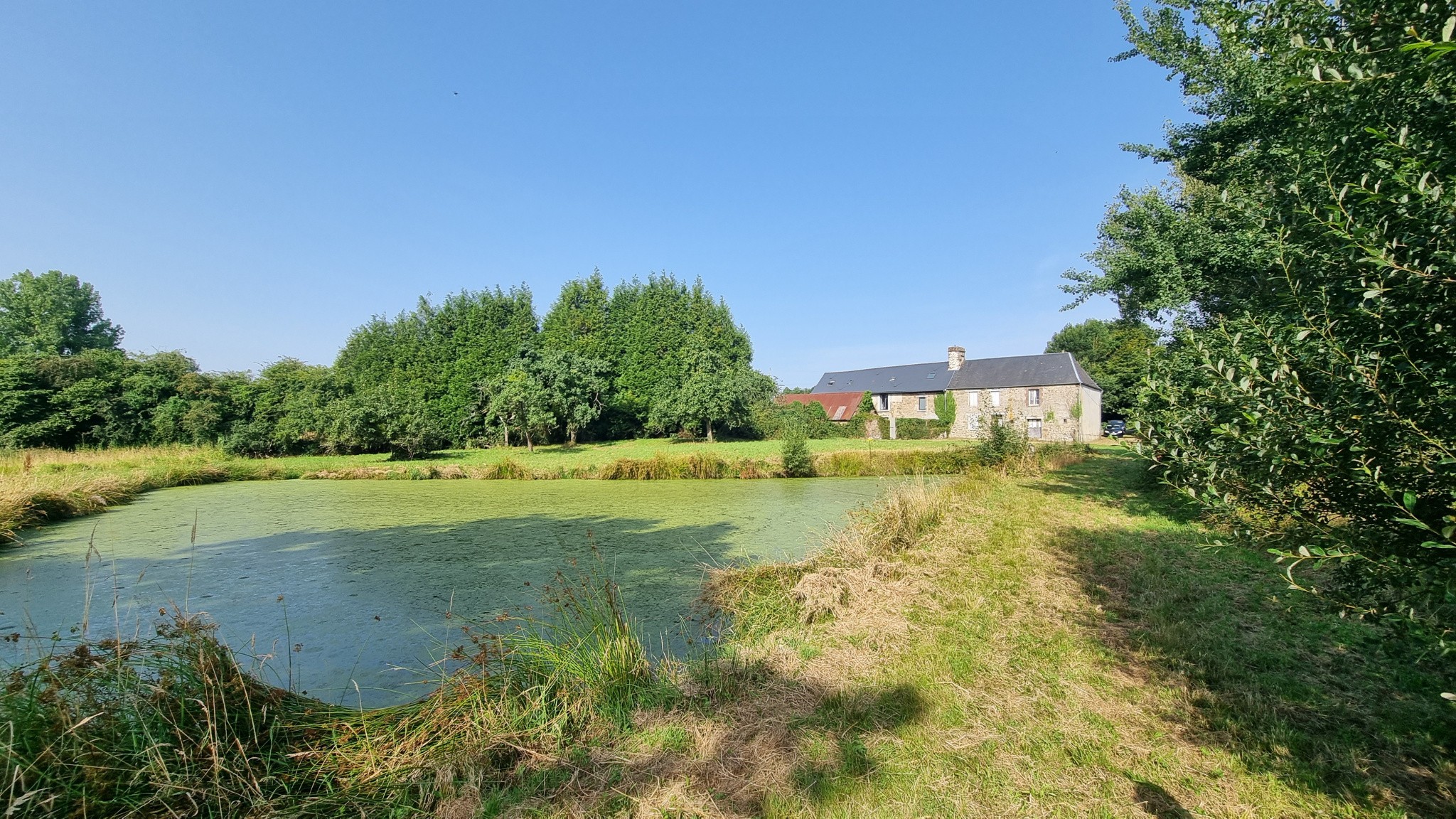 Vente Maison à Saint-Martin-des-Besaces 6 pièces