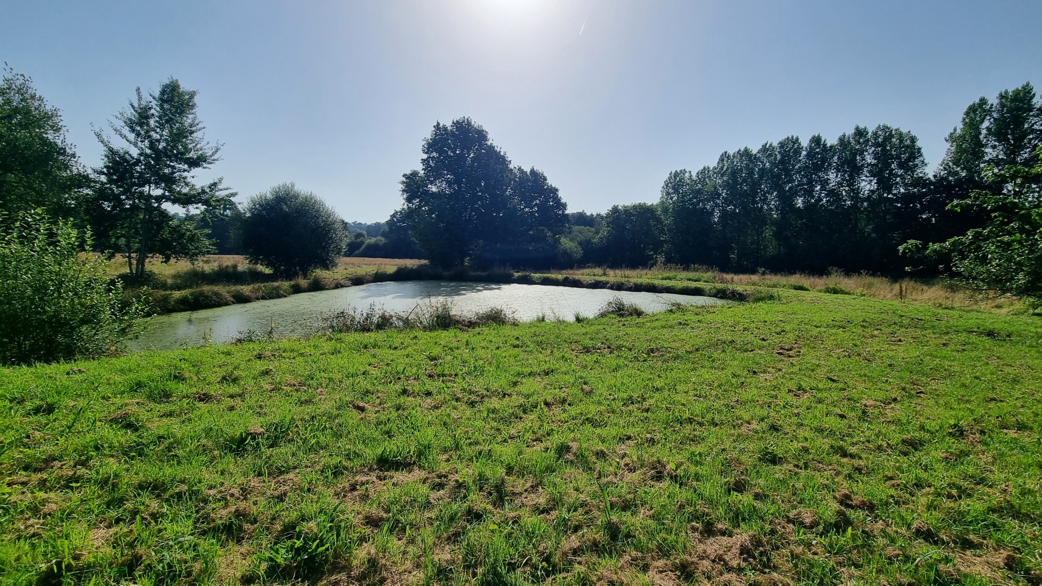 Vente Maison à Saint-Martin-des-Besaces 6 pièces