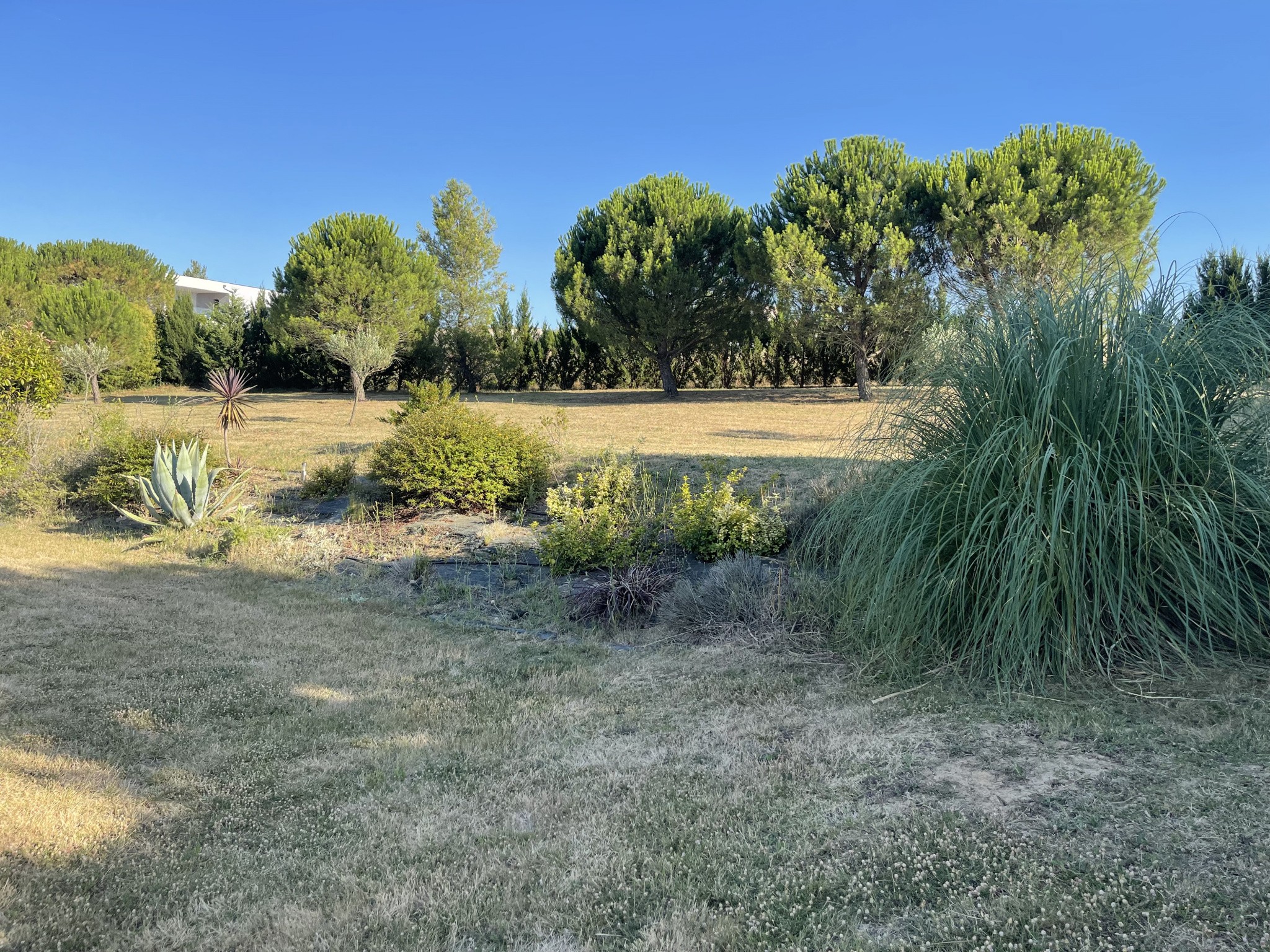 Vente Maison à Carcassonne 5 pièces