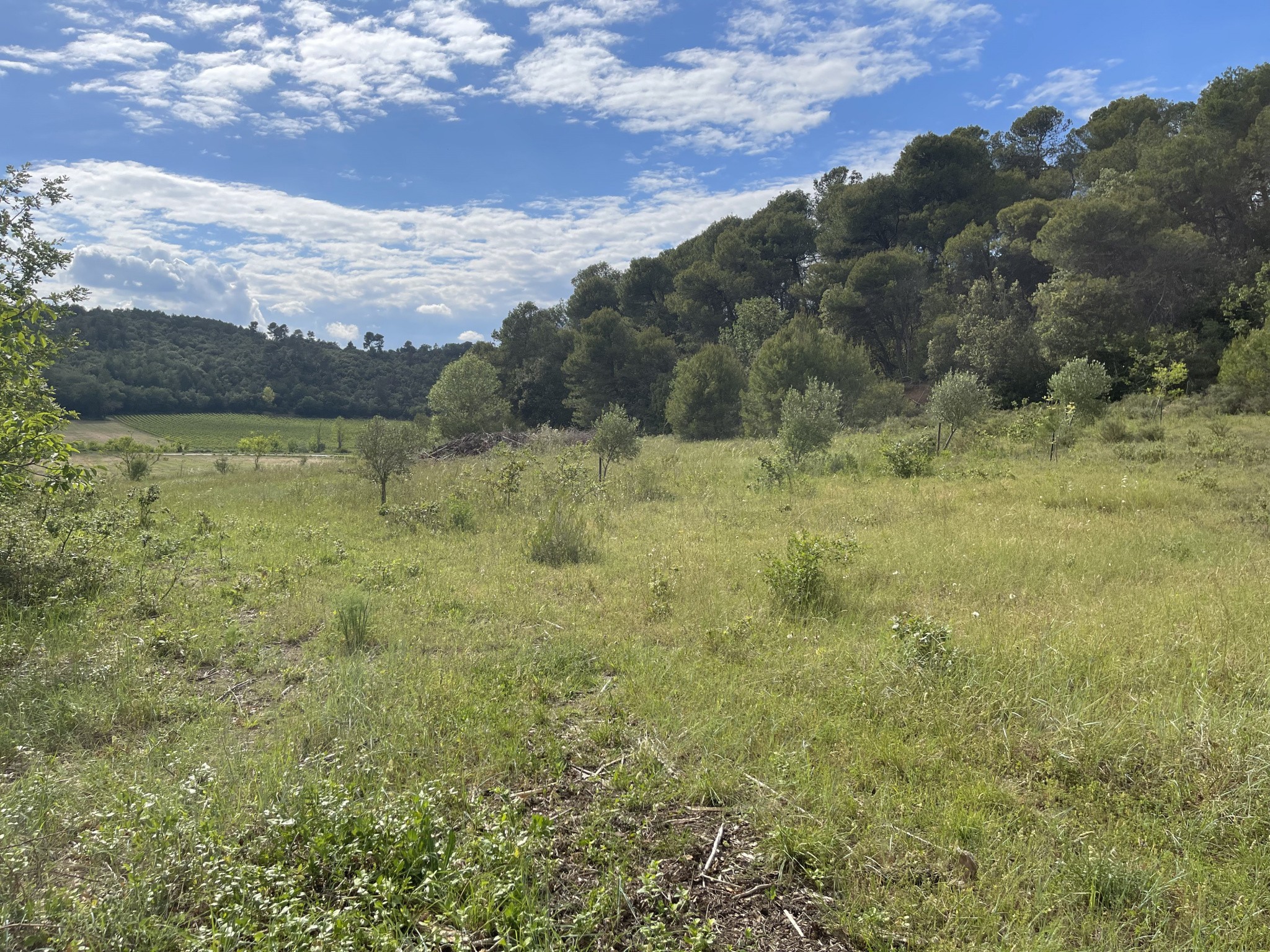 Vente Maison à Saint-Hilaire 9 pièces