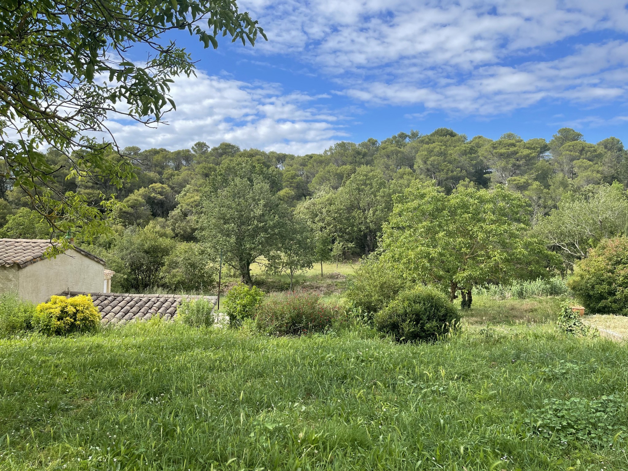 Vente Maison à Saint-Hilaire 9 pièces