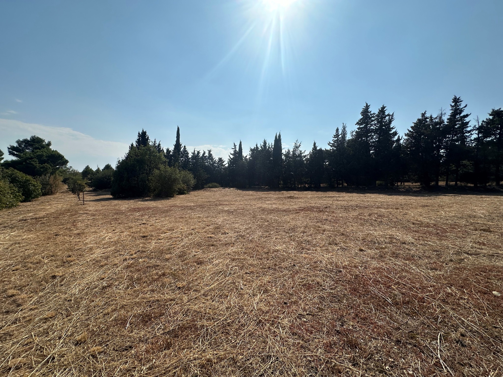 Vente Terrain à Villemoustaussou 0 pièce