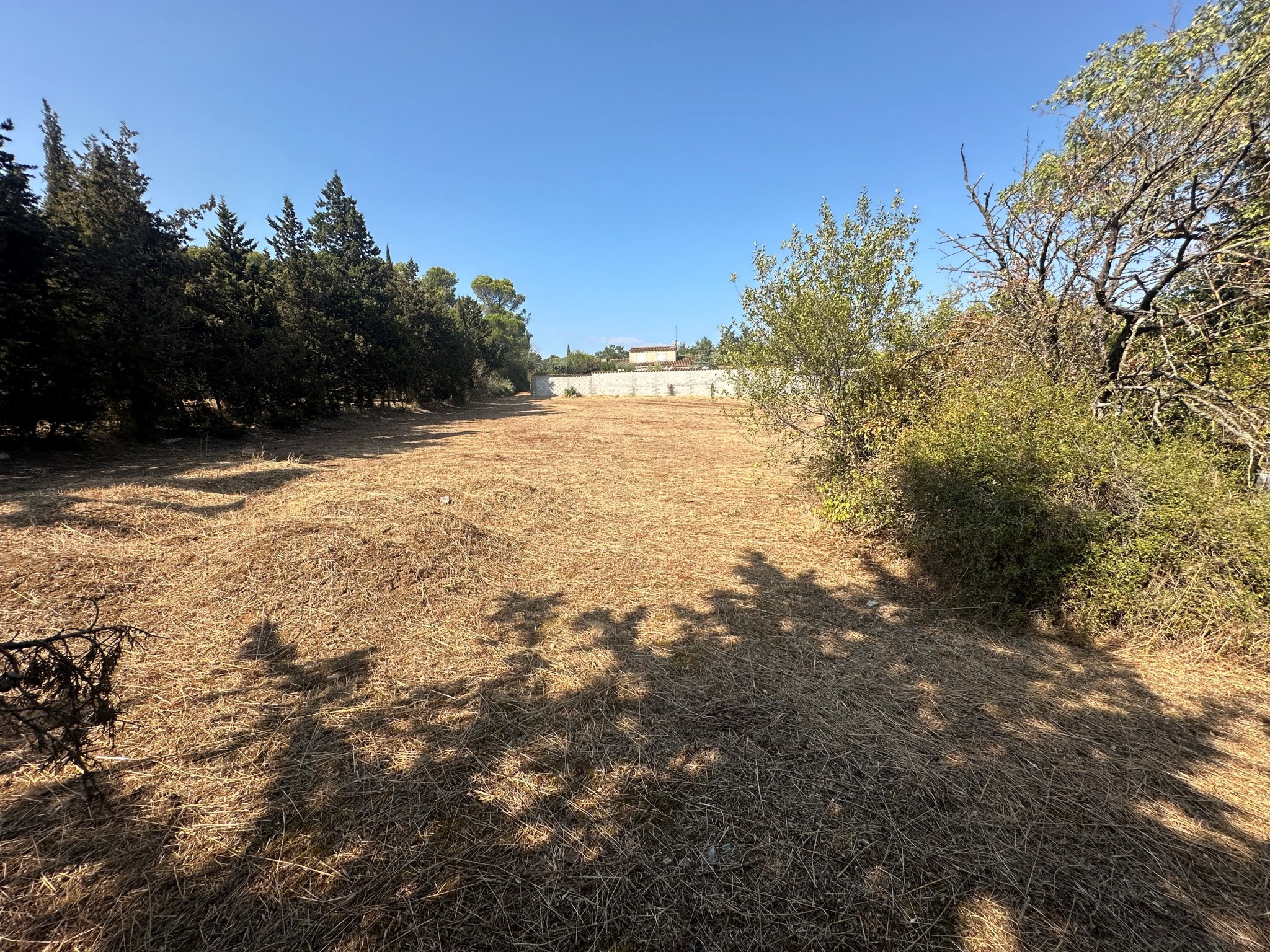 Vente Terrain à Villemoustaussou 0 pièce