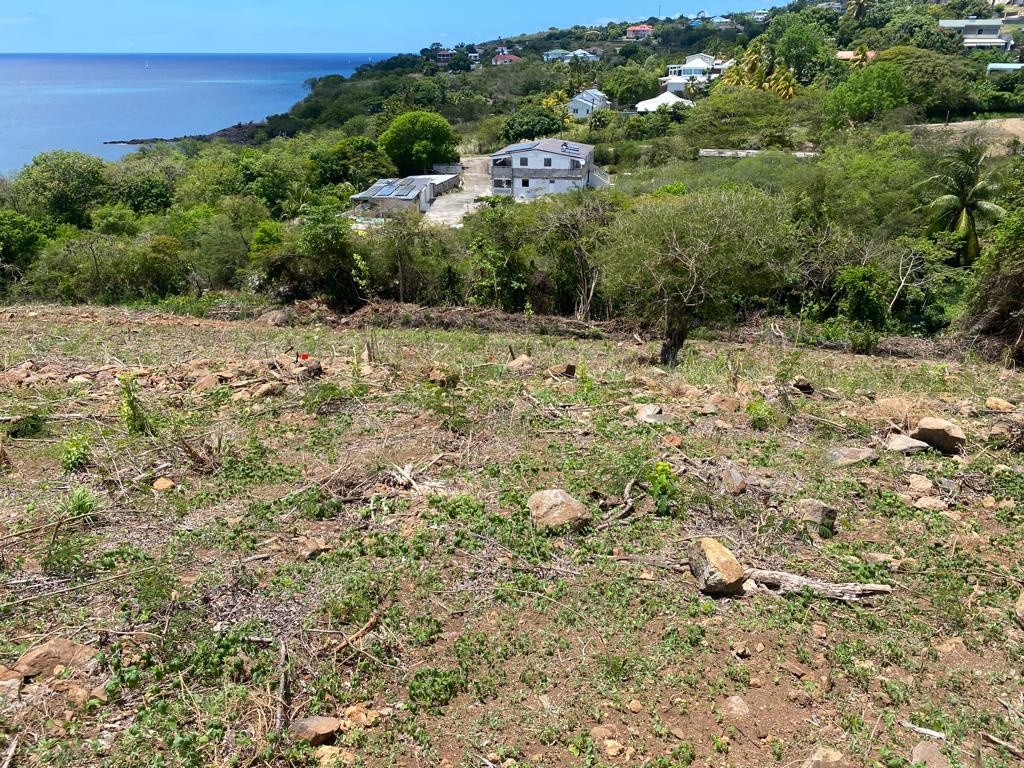 Vente Terrain à Vieux-Habitants 0 pièce