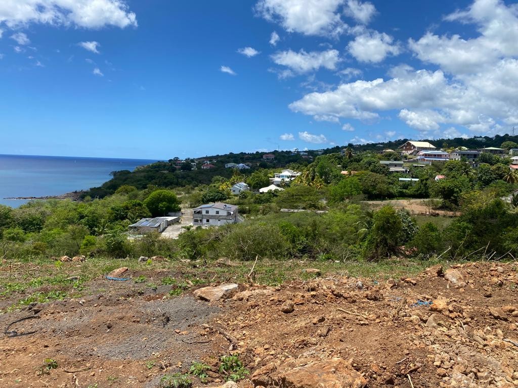 Vente Terrain à Vieux-Habitants 0 pièce