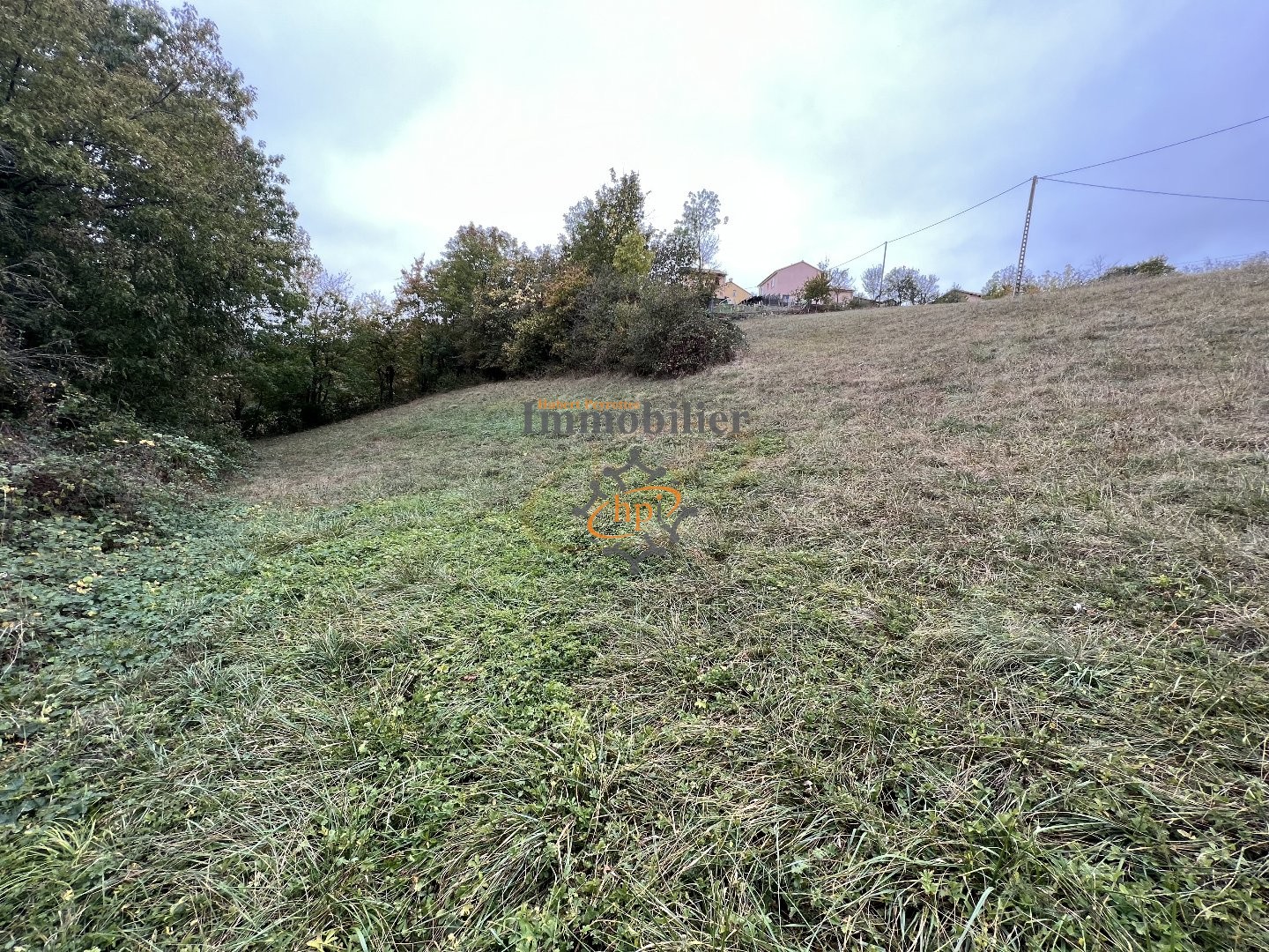 Vente Terrain à Saint-Affrique 0 pièce