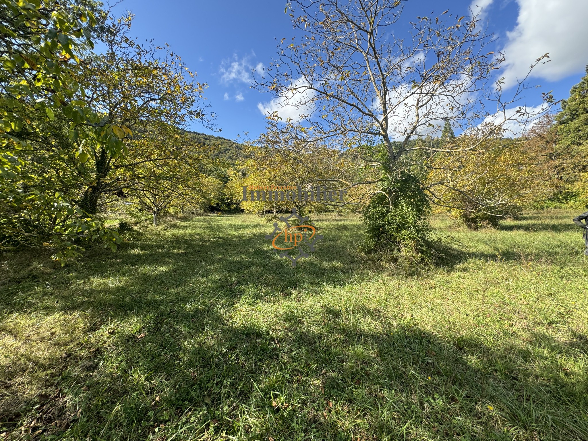 Vente Terrain à Saint-Affrique 0 pièce