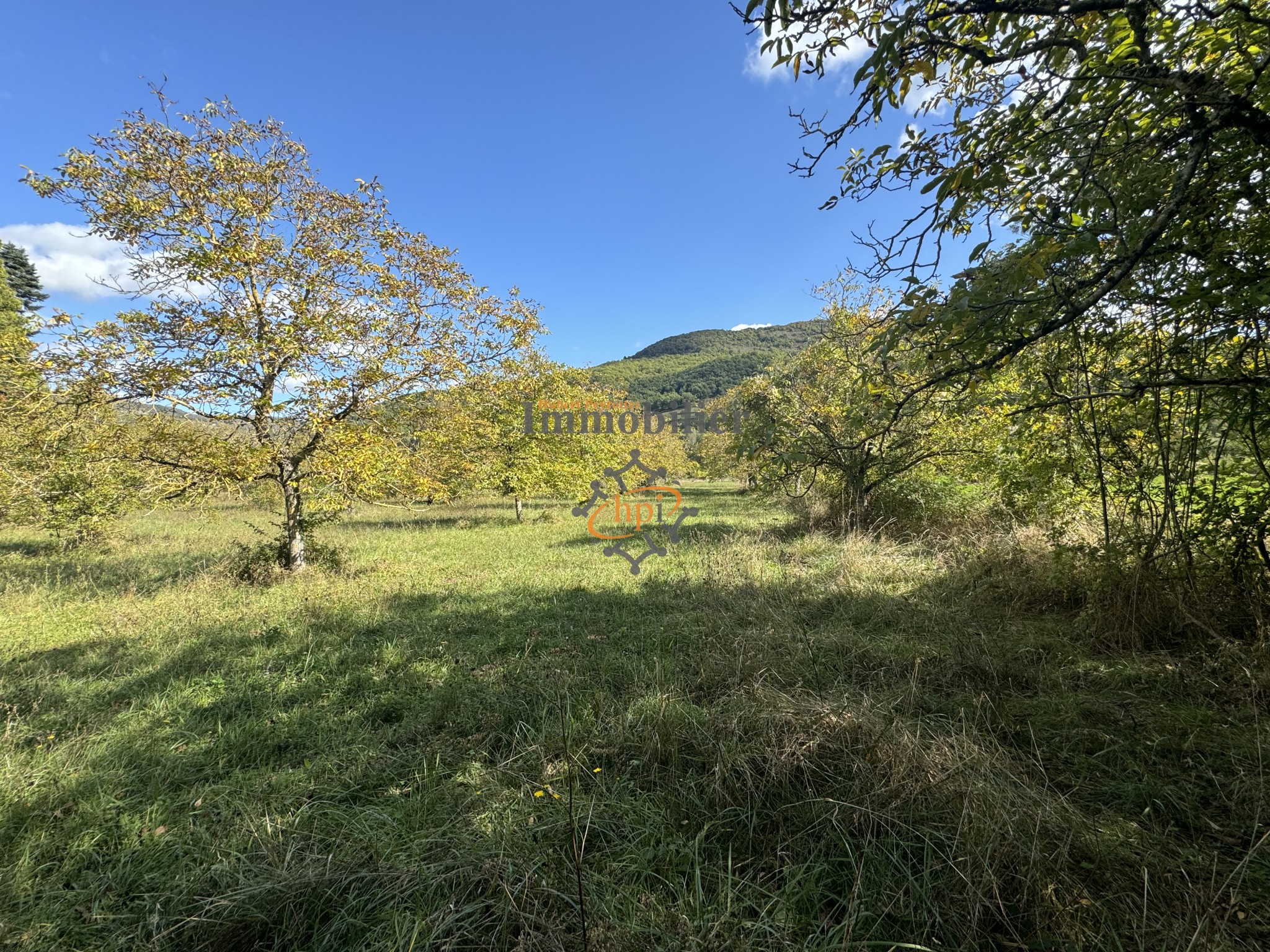 Vente Terrain à Saint-Affrique 0 pièce