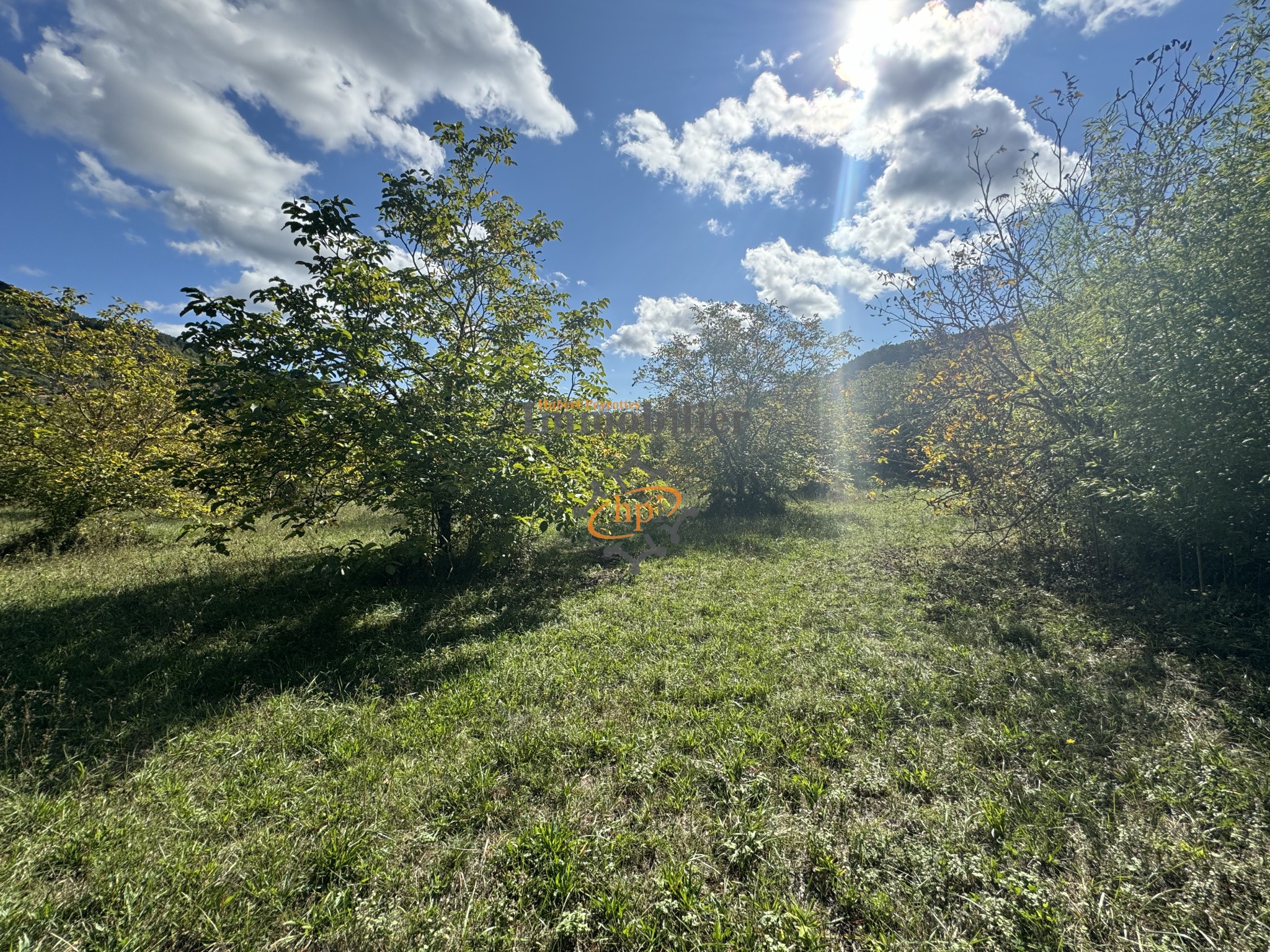 Vente Terrain à Saint-Affrique 0 pièce