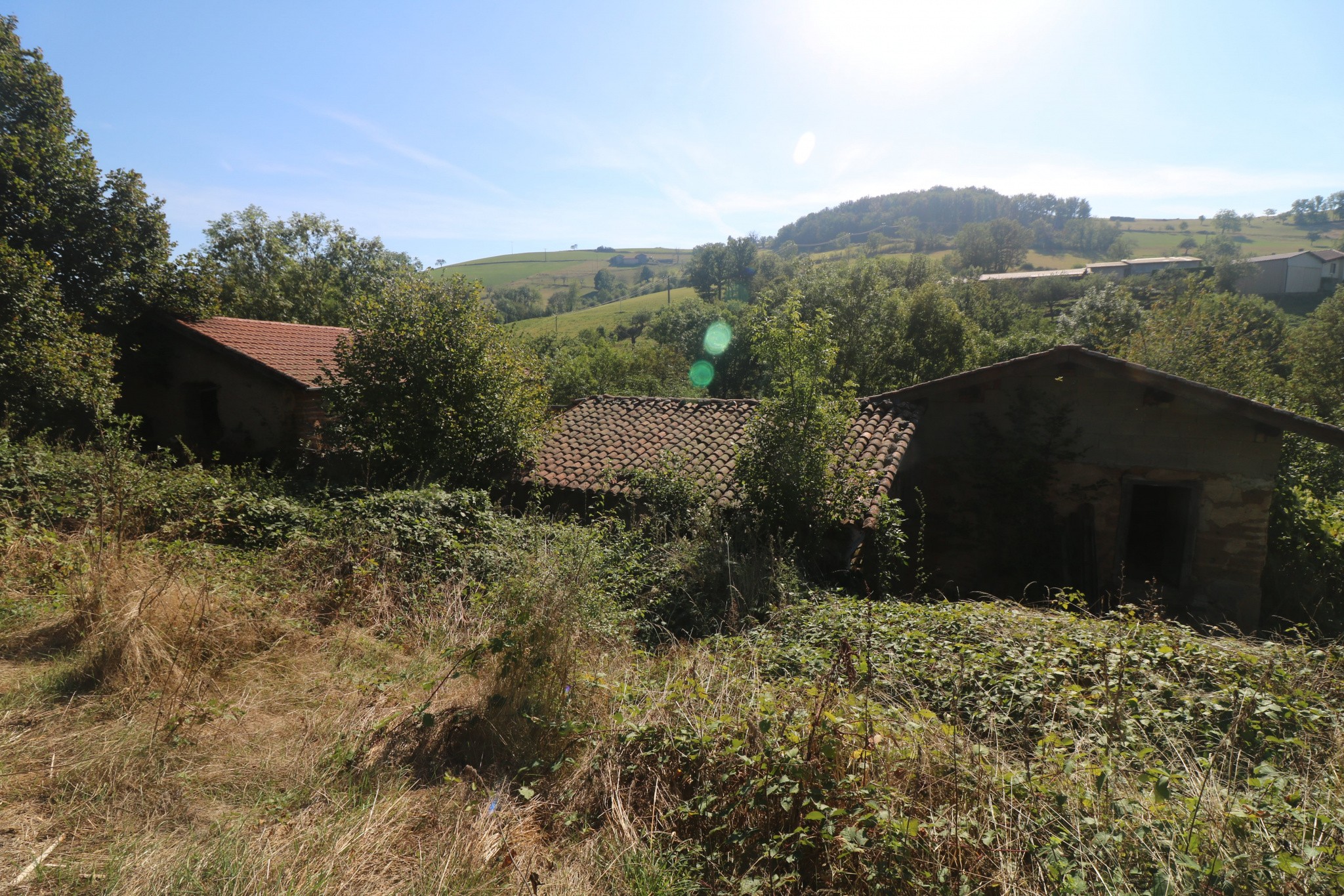 Vente Maison à Saint-Christo-en-Jarez 10 pièces