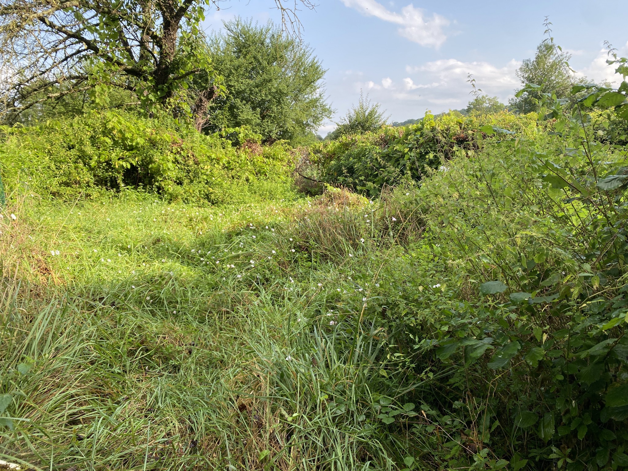 Vente Maison à Flez-Cuzy 4 pièces