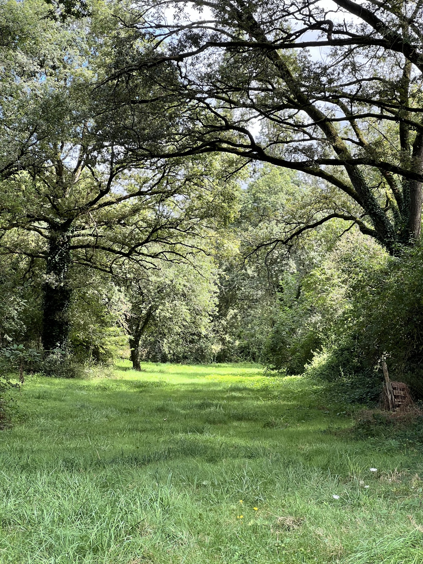 Vente Maison à Derval 5 pièces