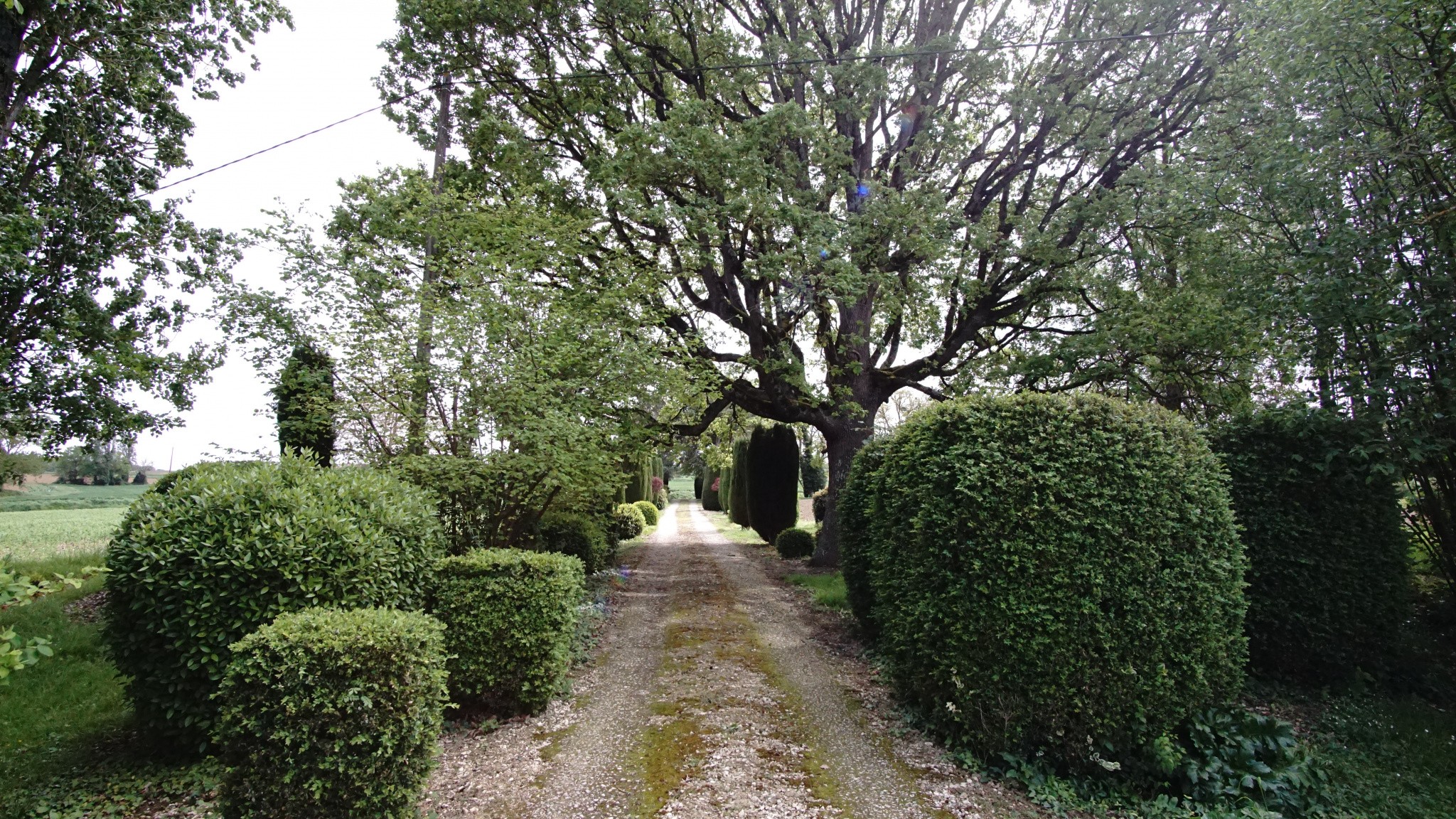 Viager Maison à Auch 8 pièces