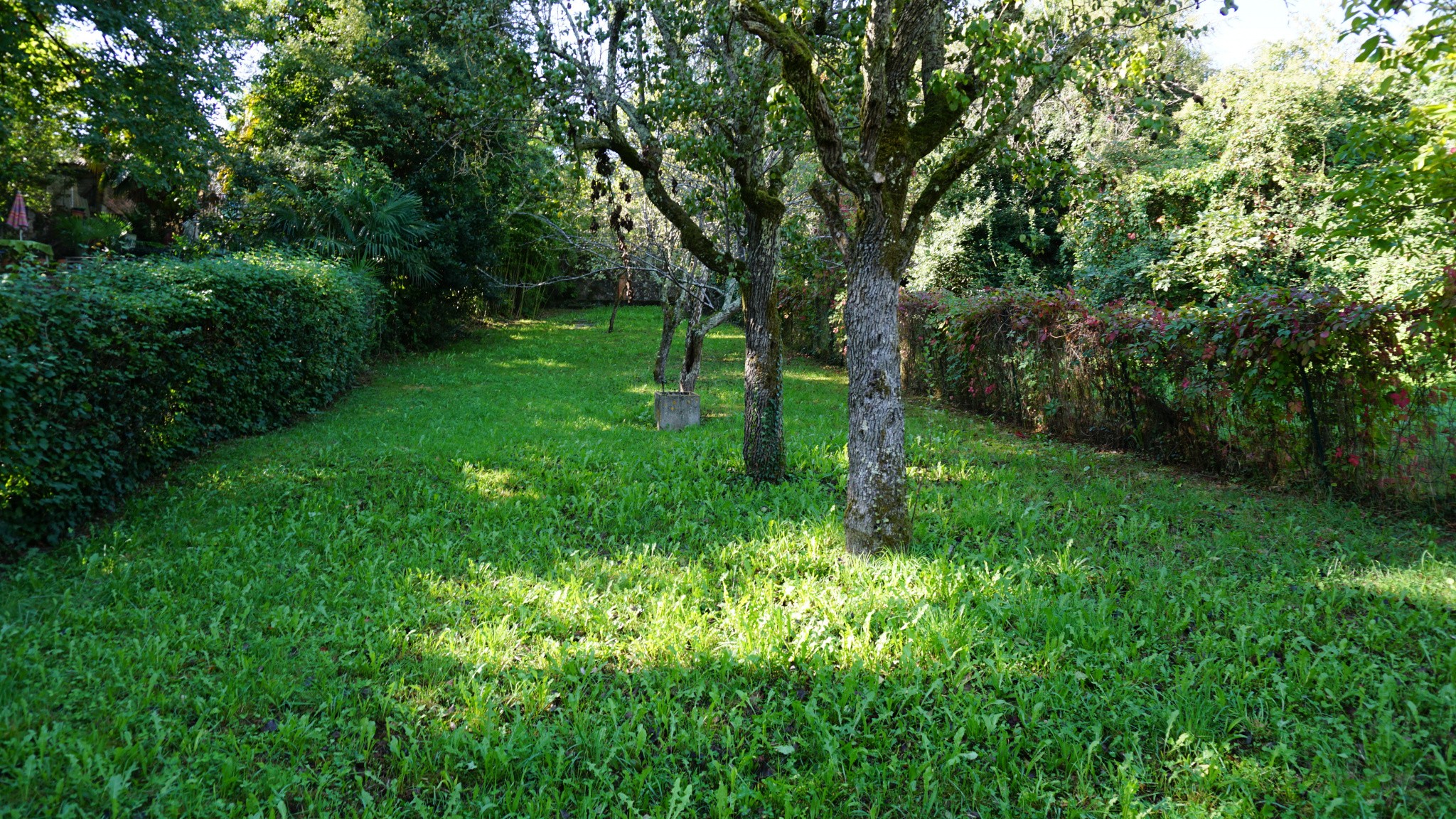 Viager Maison à Auch 9 pièces