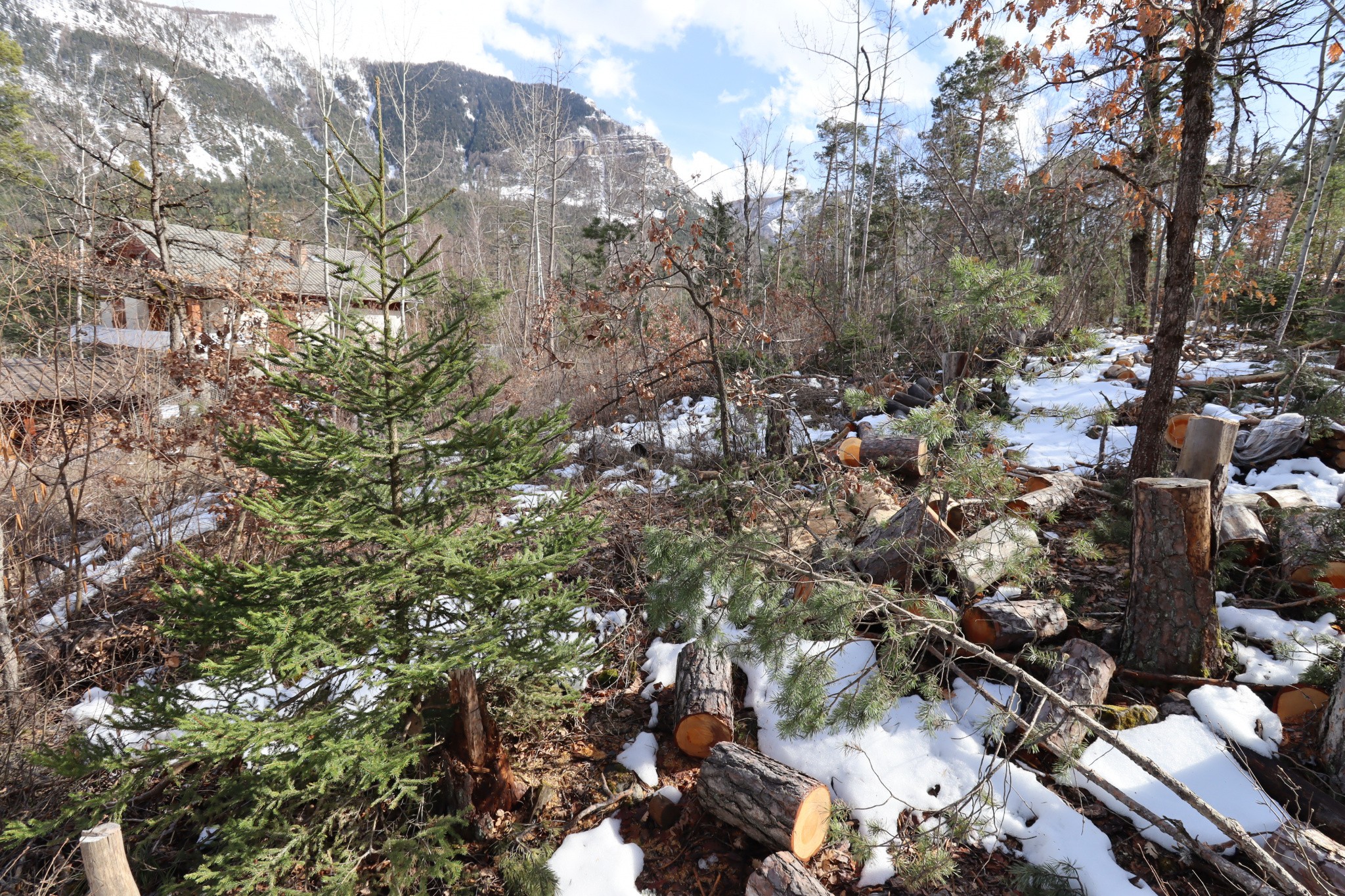 Vente Terrain à Beauvezer 0 pièce