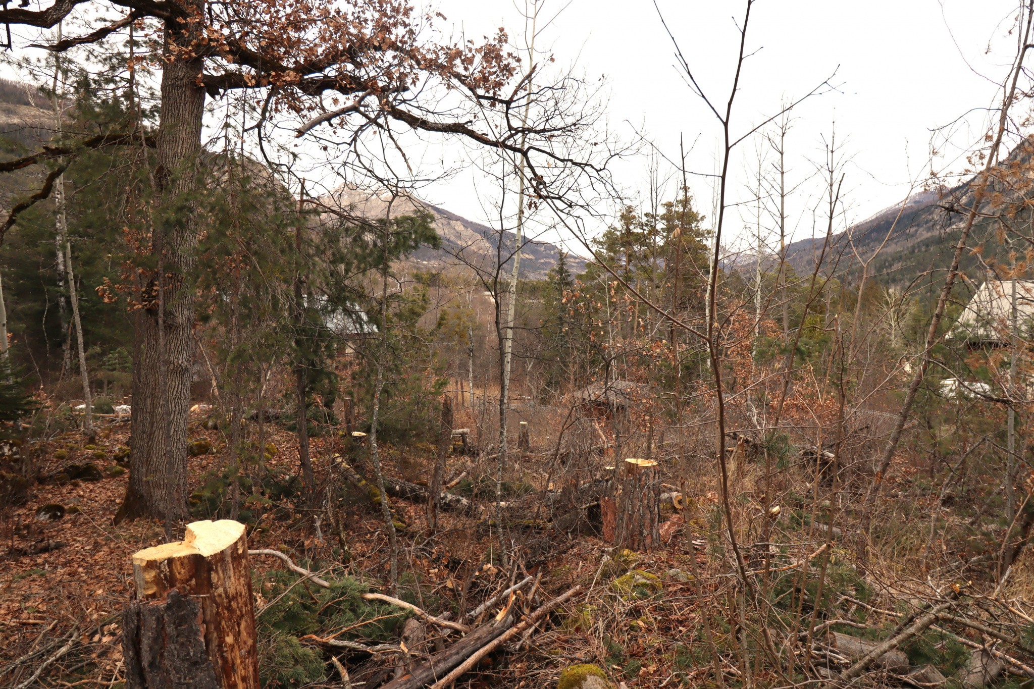 Vente Terrain à Beauvezer 0 pièce