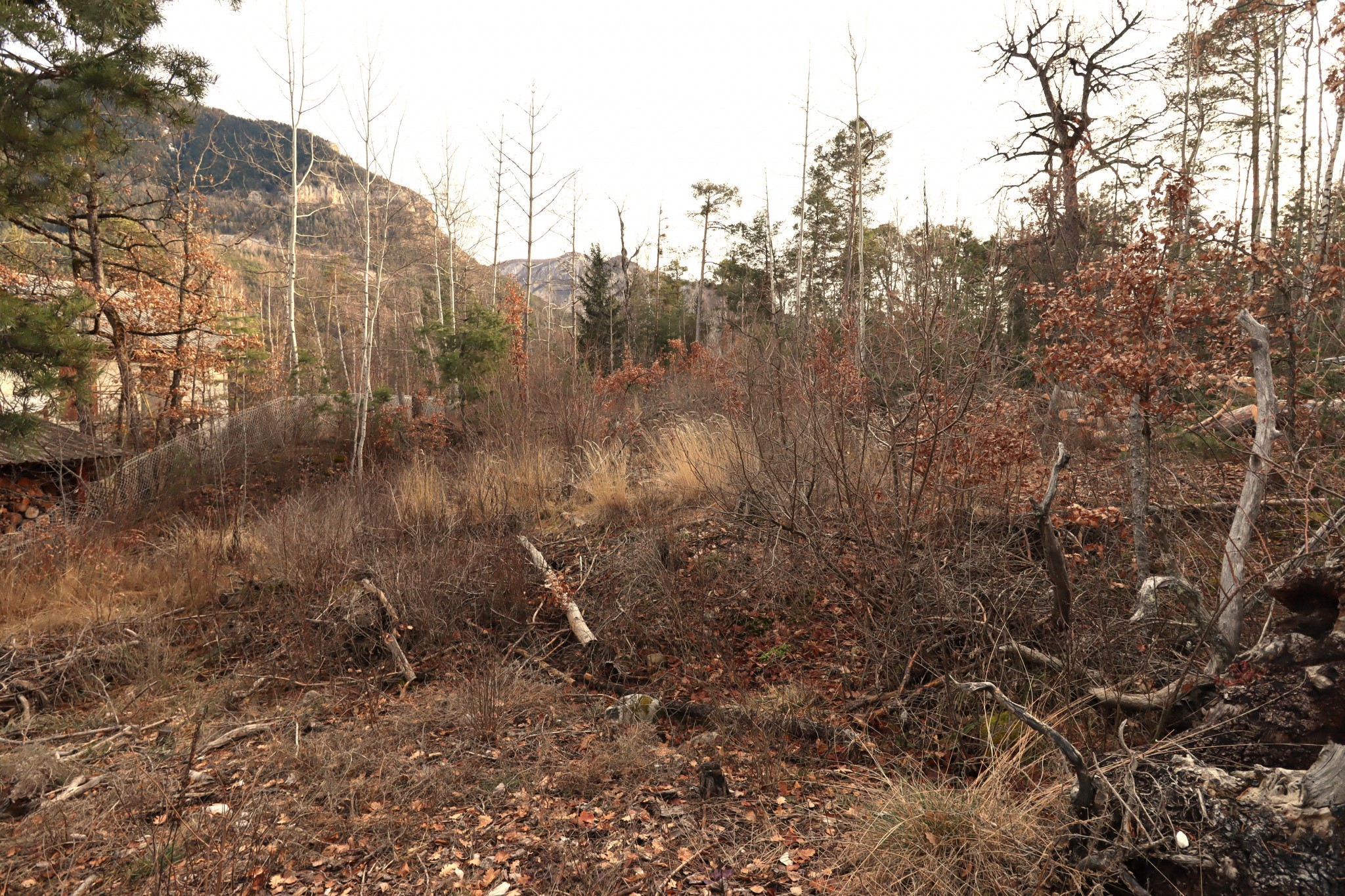 Vente Terrain à Beauvezer 0 pièce