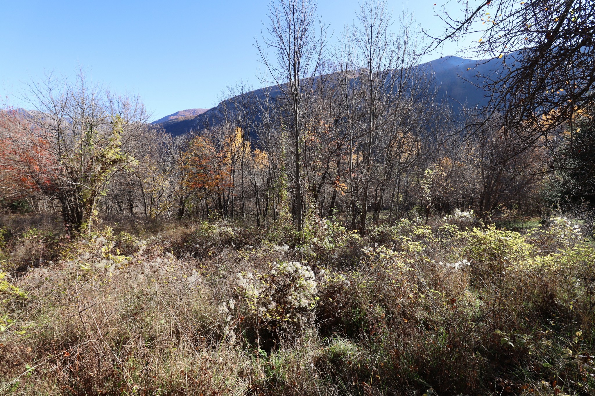 Vente Terrain à Beauvezer 0 pièce