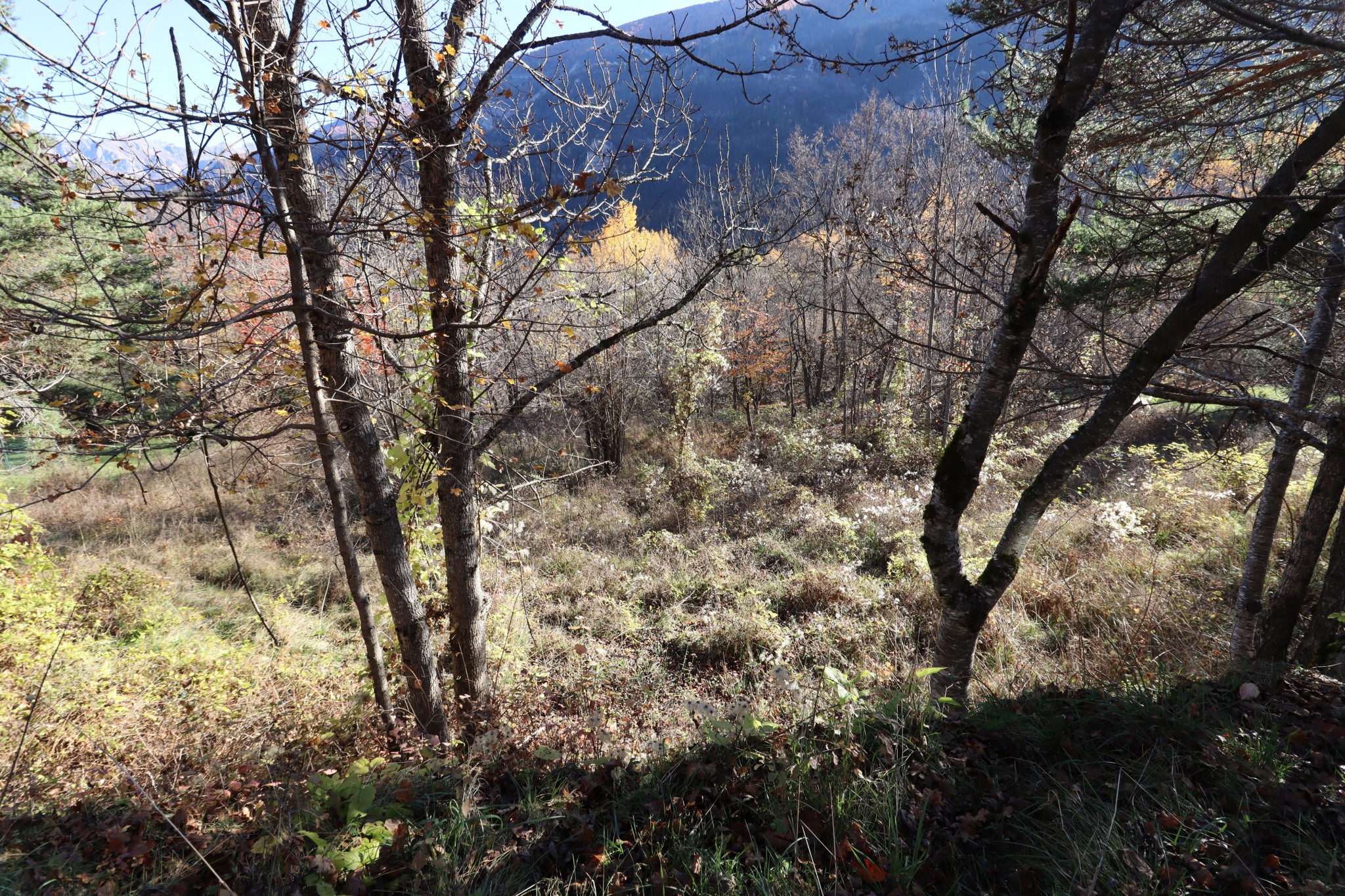 Vente Terrain à Beauvezer 0 pièce