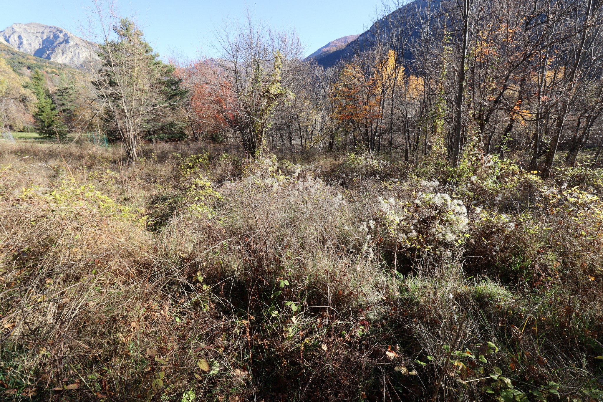 Vente Terrain à Beauvezer 0 pièce