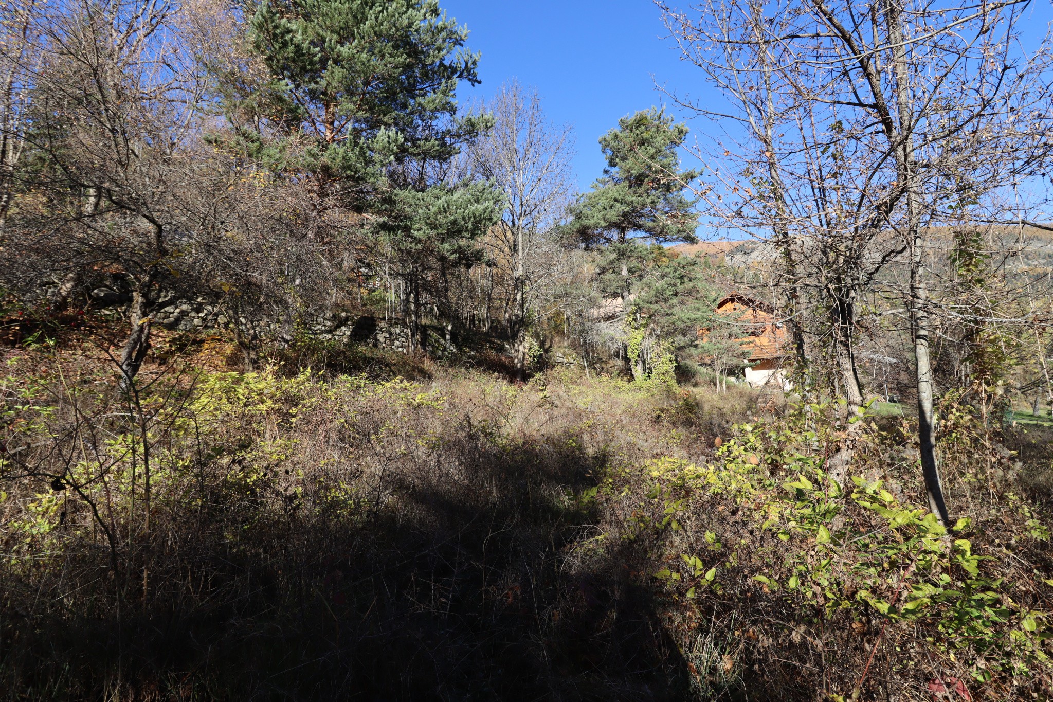 Vente Terrain à Beauvezer 0 pièce