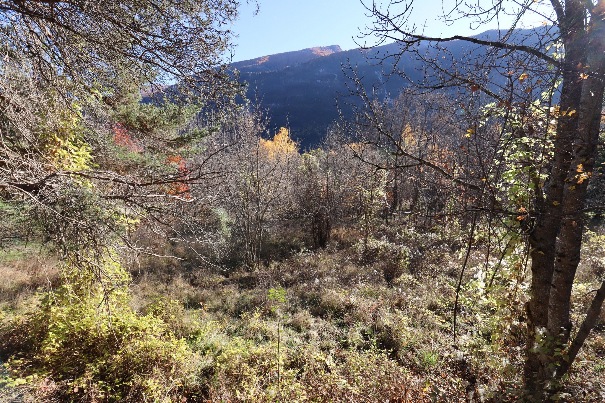 Vente Terrain à Beauvezer 0 pièce