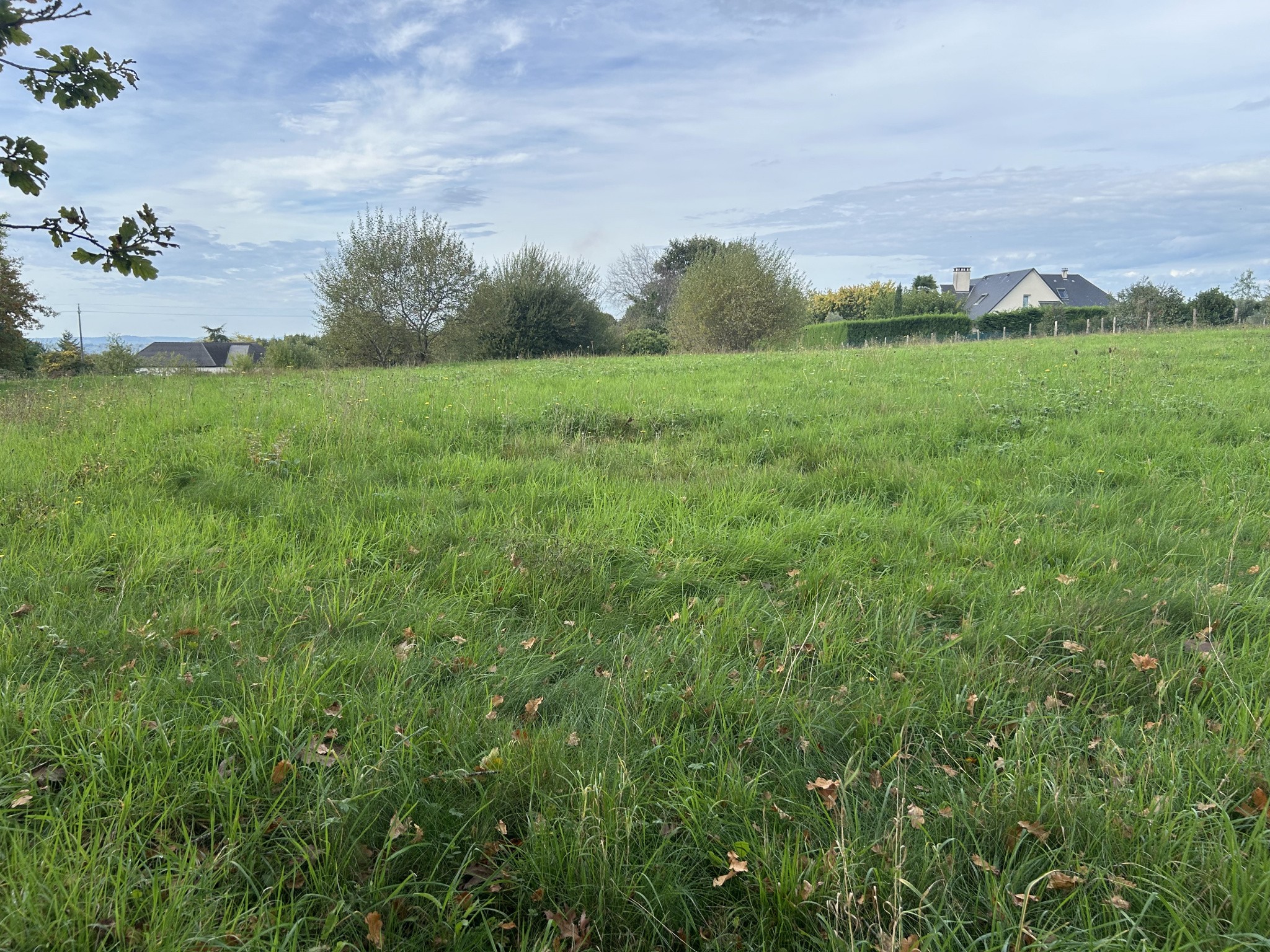 Vente Terrain à Donzenac 0 pièce