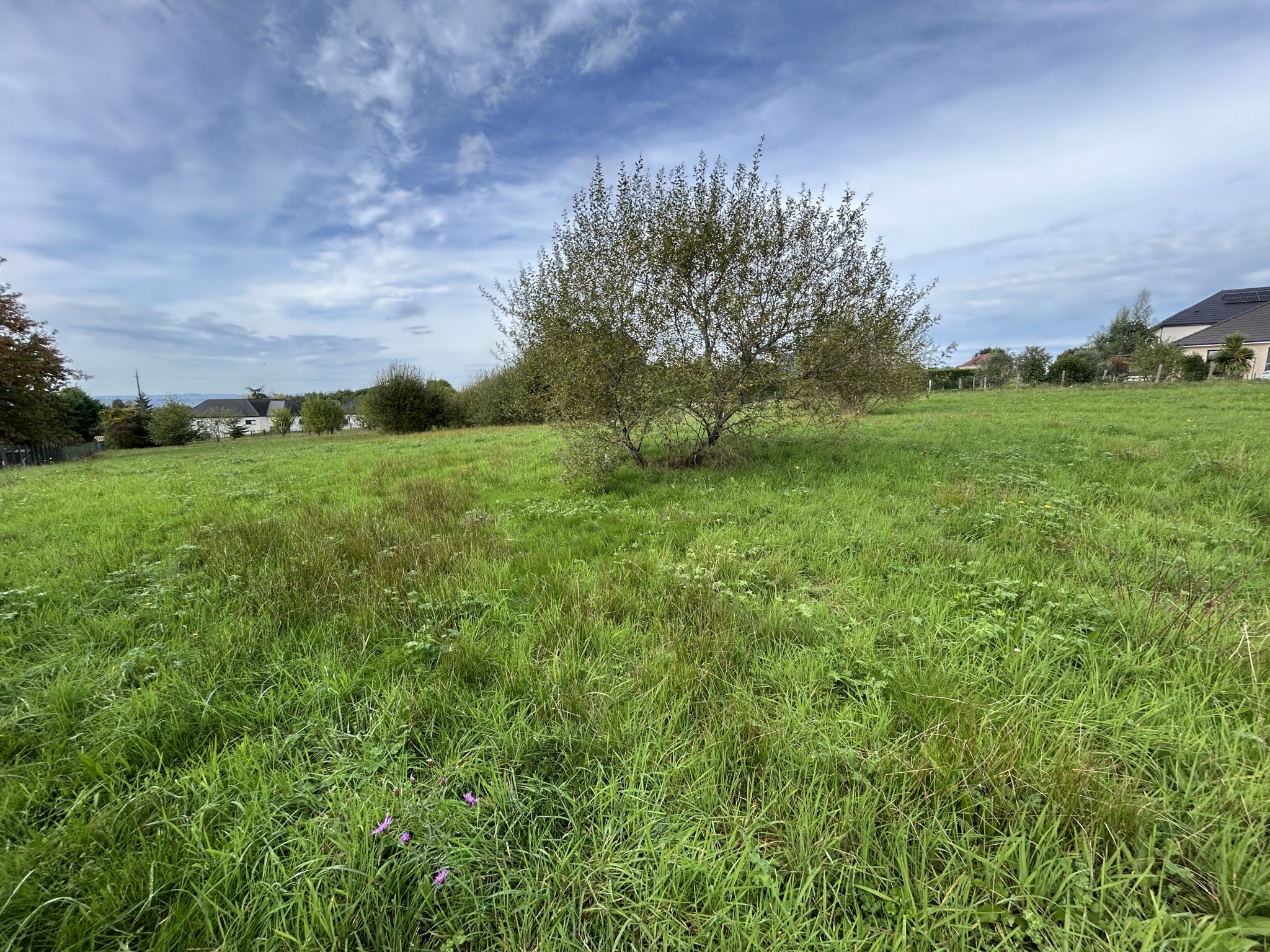 Vente Terrain à Donzenac 0 pièce