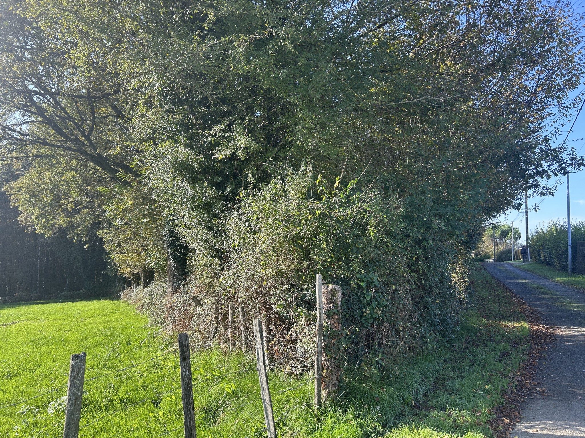 Vente Terrain à Saint-Clément 0 pièce