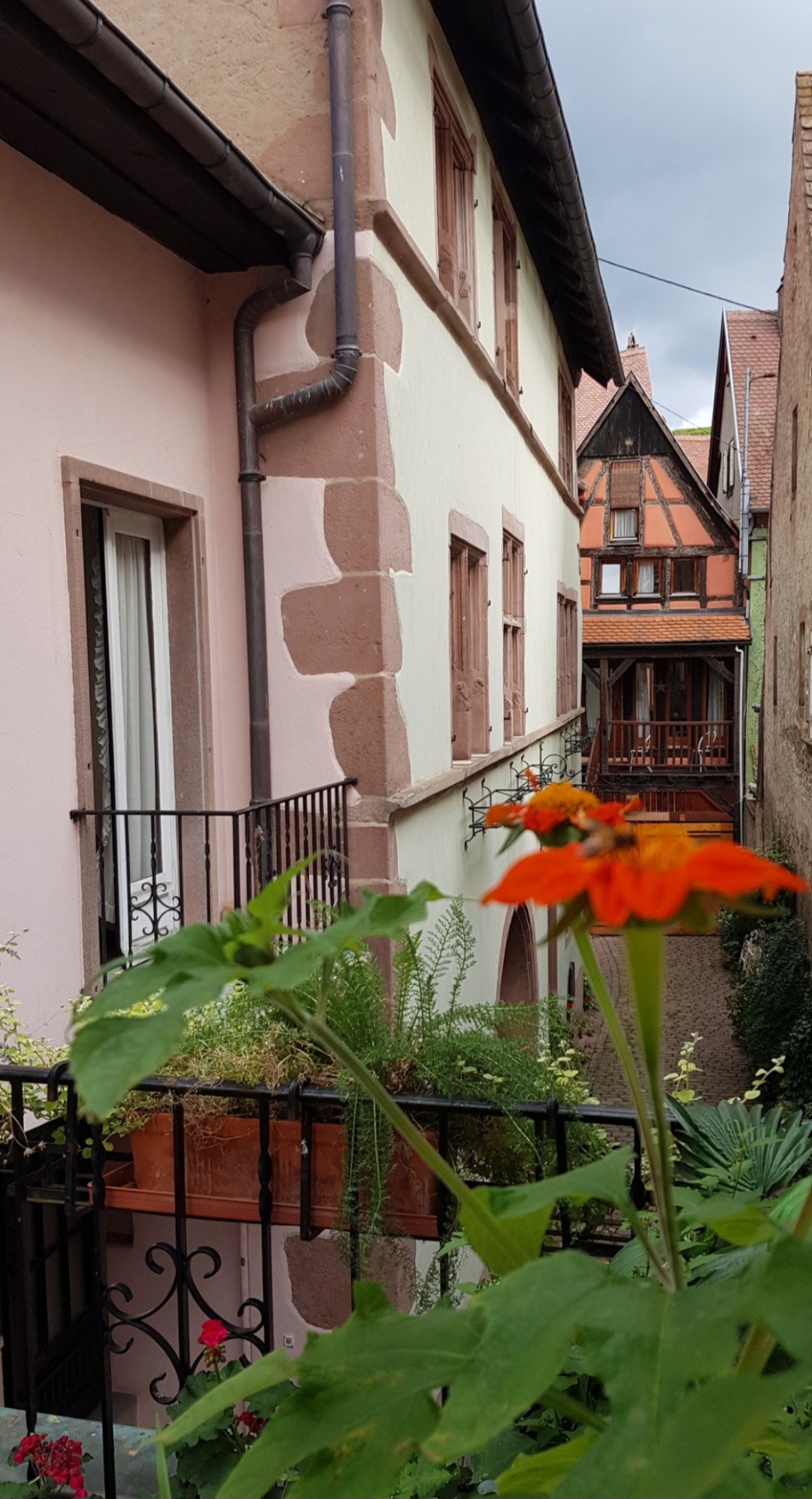 Vente Maison à Riquewihr 20 pièces