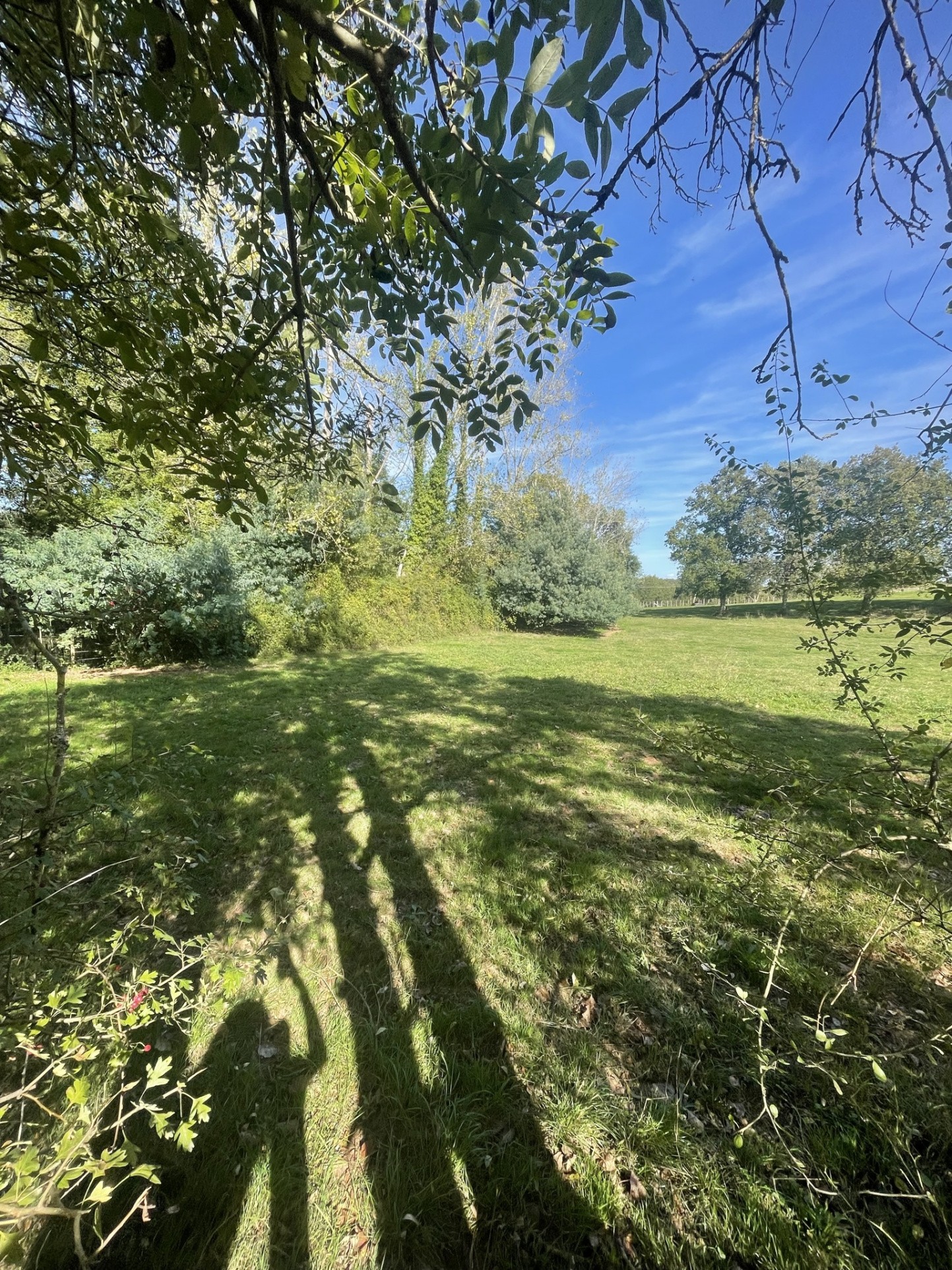 Vente Terrain à le Champ-Saint-Père 0 pièce