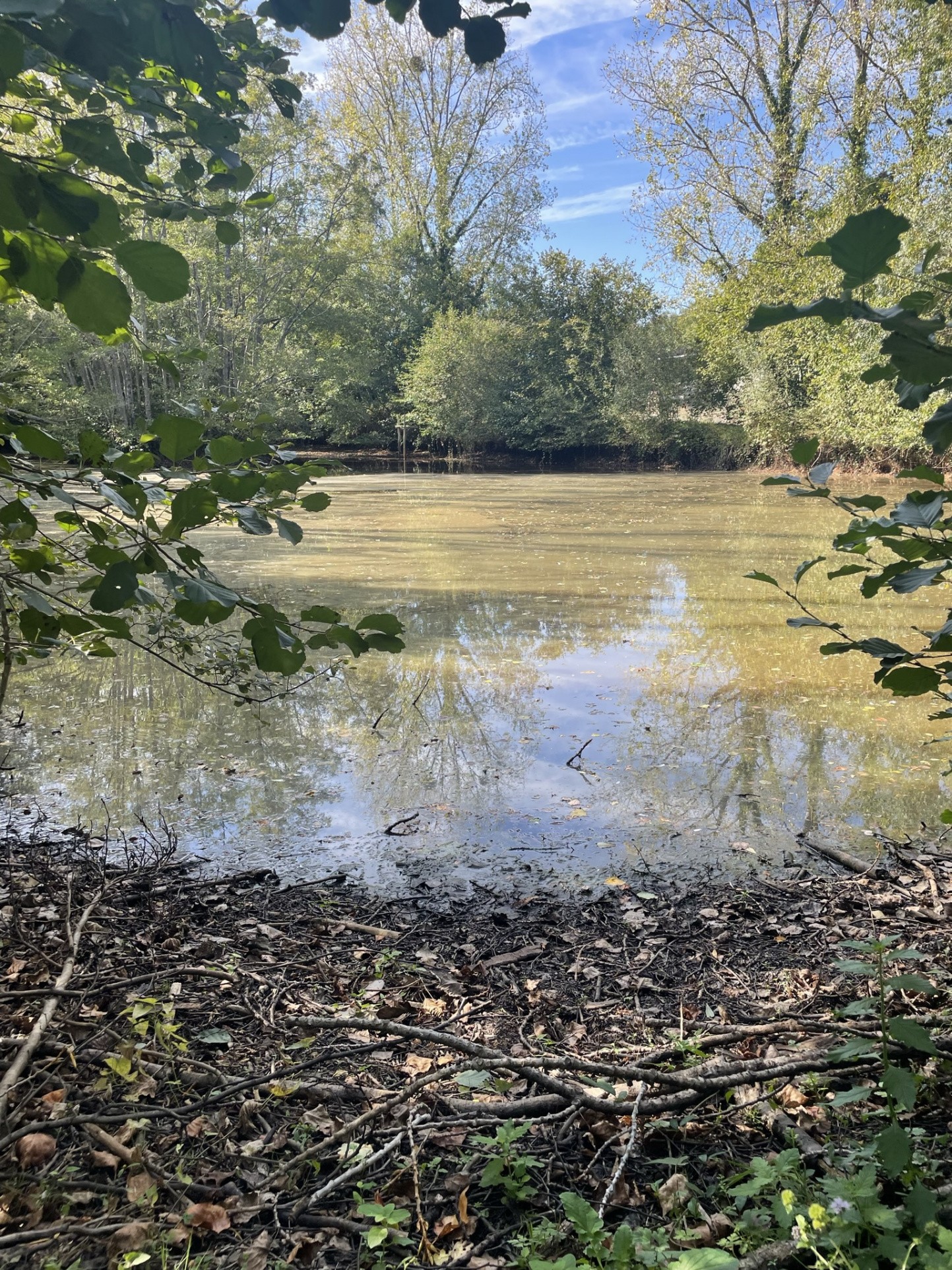 Vente Terrain à le Champ-Saint-Père 0 pièce