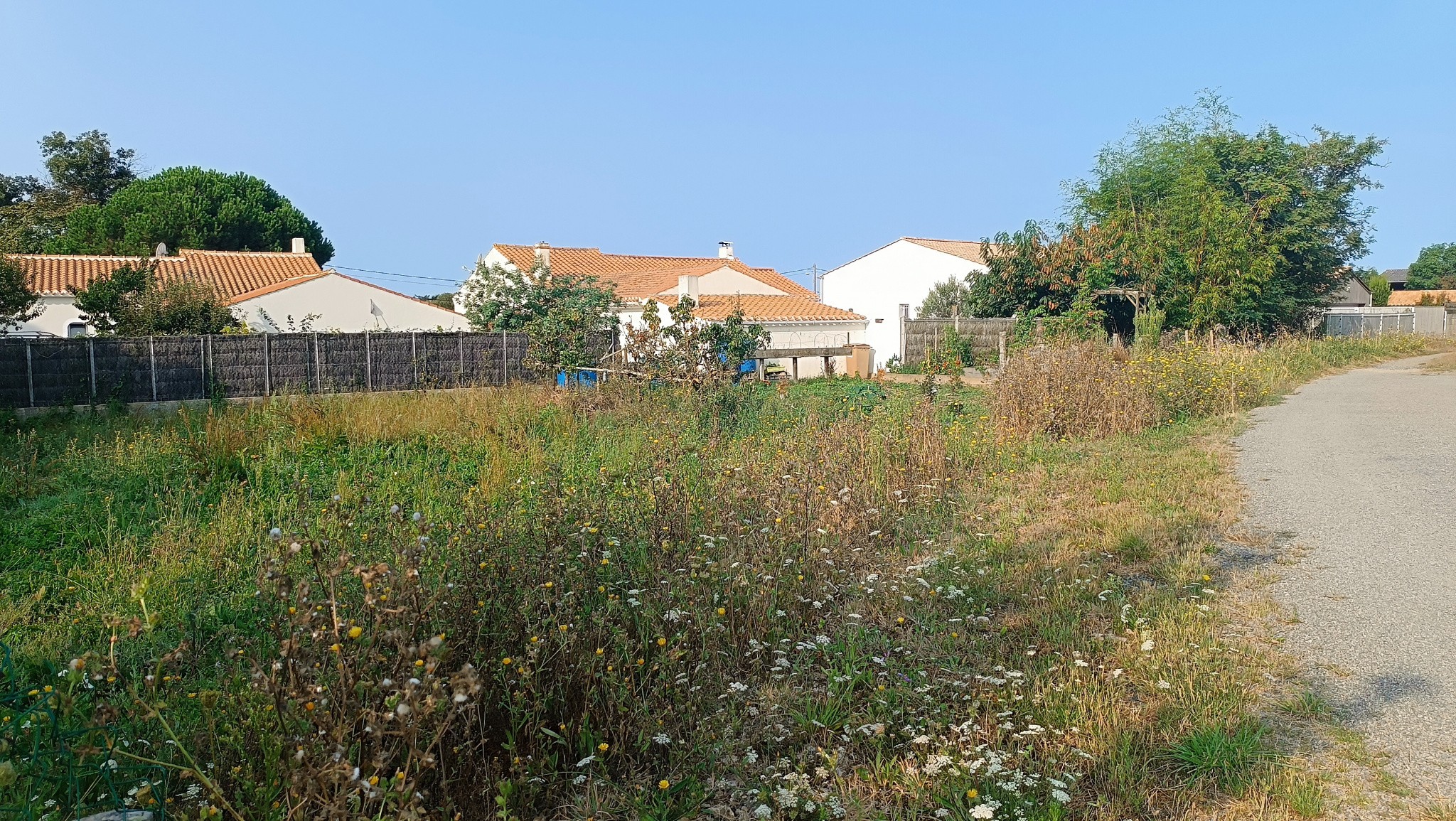 Vente Terrain à l'Île-d'Olonne 0 pièce