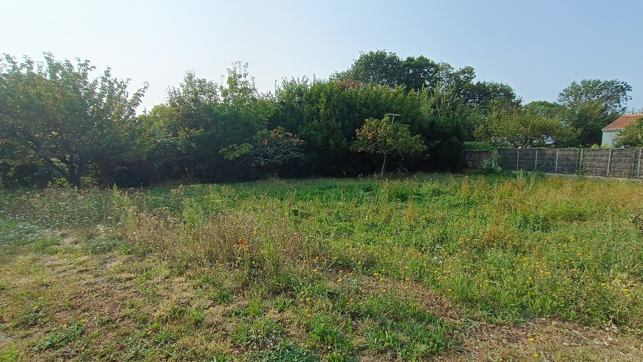 Vente Terrain à l'Île-d'Olonne 0 pièce