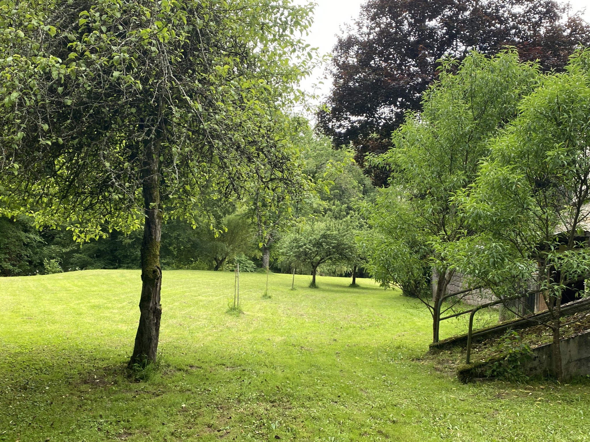 Vente Maison à Pierre-Buffière 8 pièces