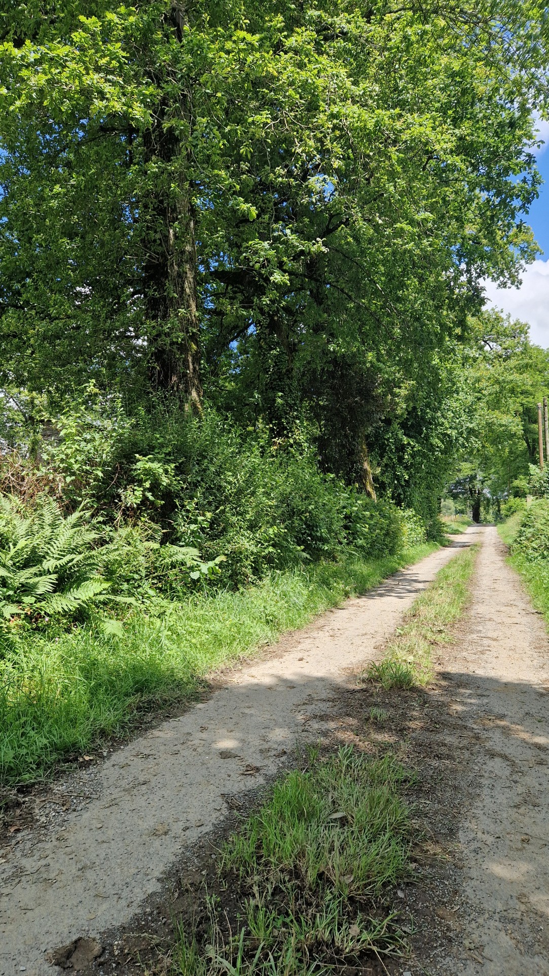 Vente Terrain à Lubersac 0 pièce