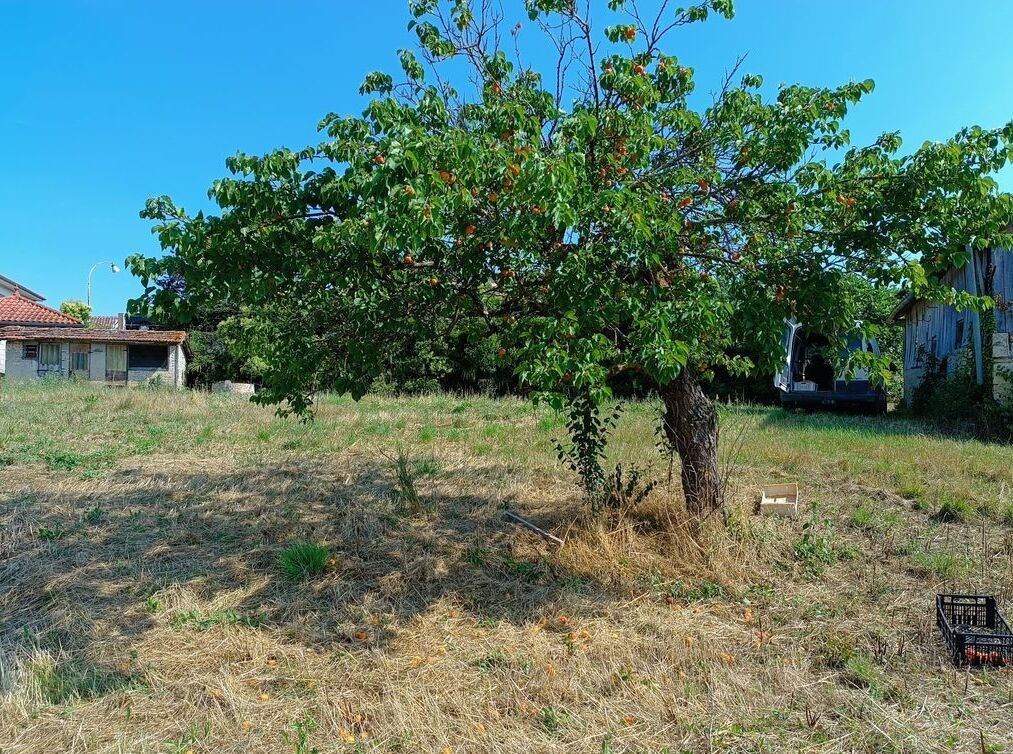 Vente Terrain à Lectoure 0 pièce