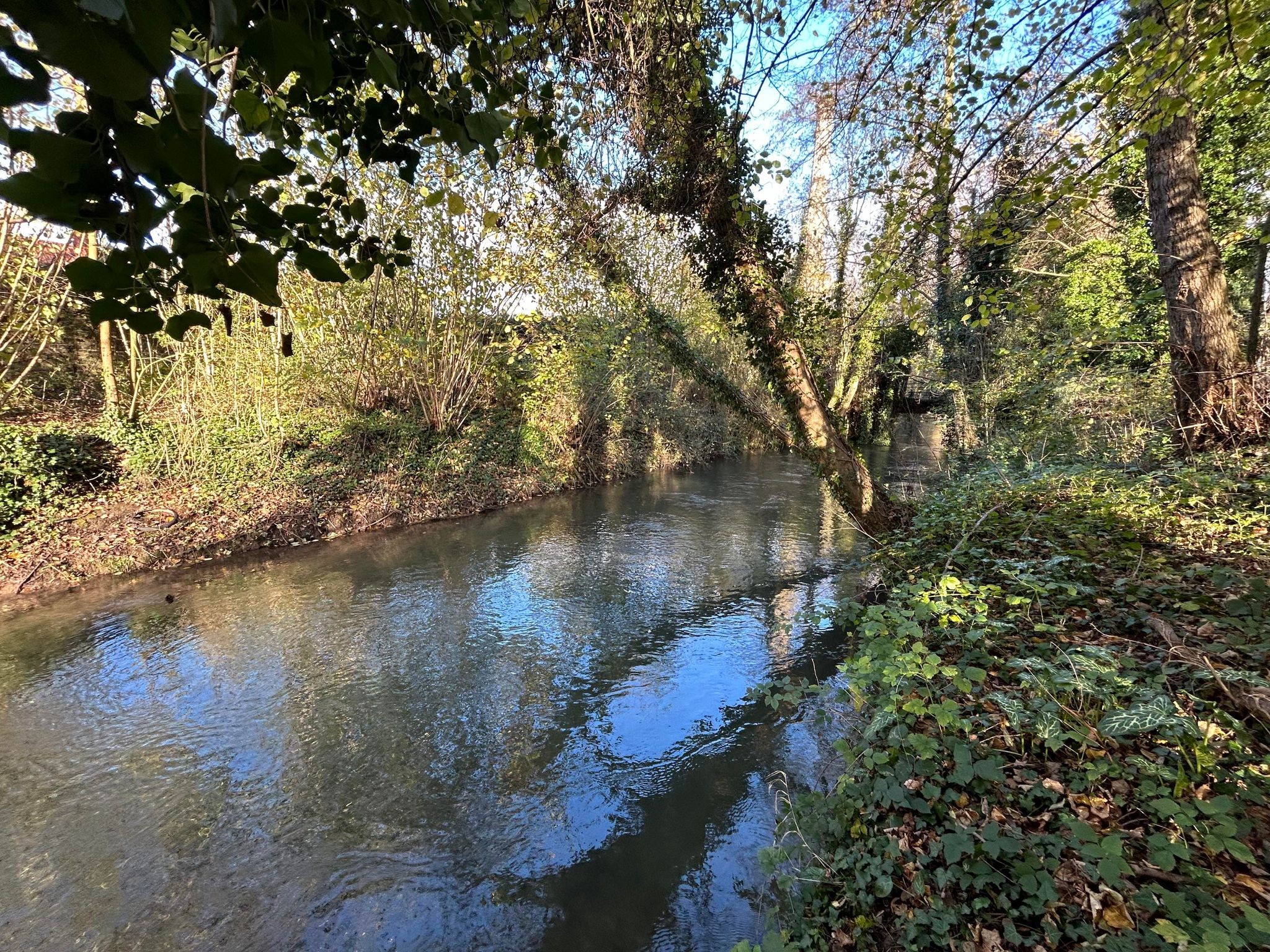 Vente Maison à Domart-en-Ponthieu 6 pièces