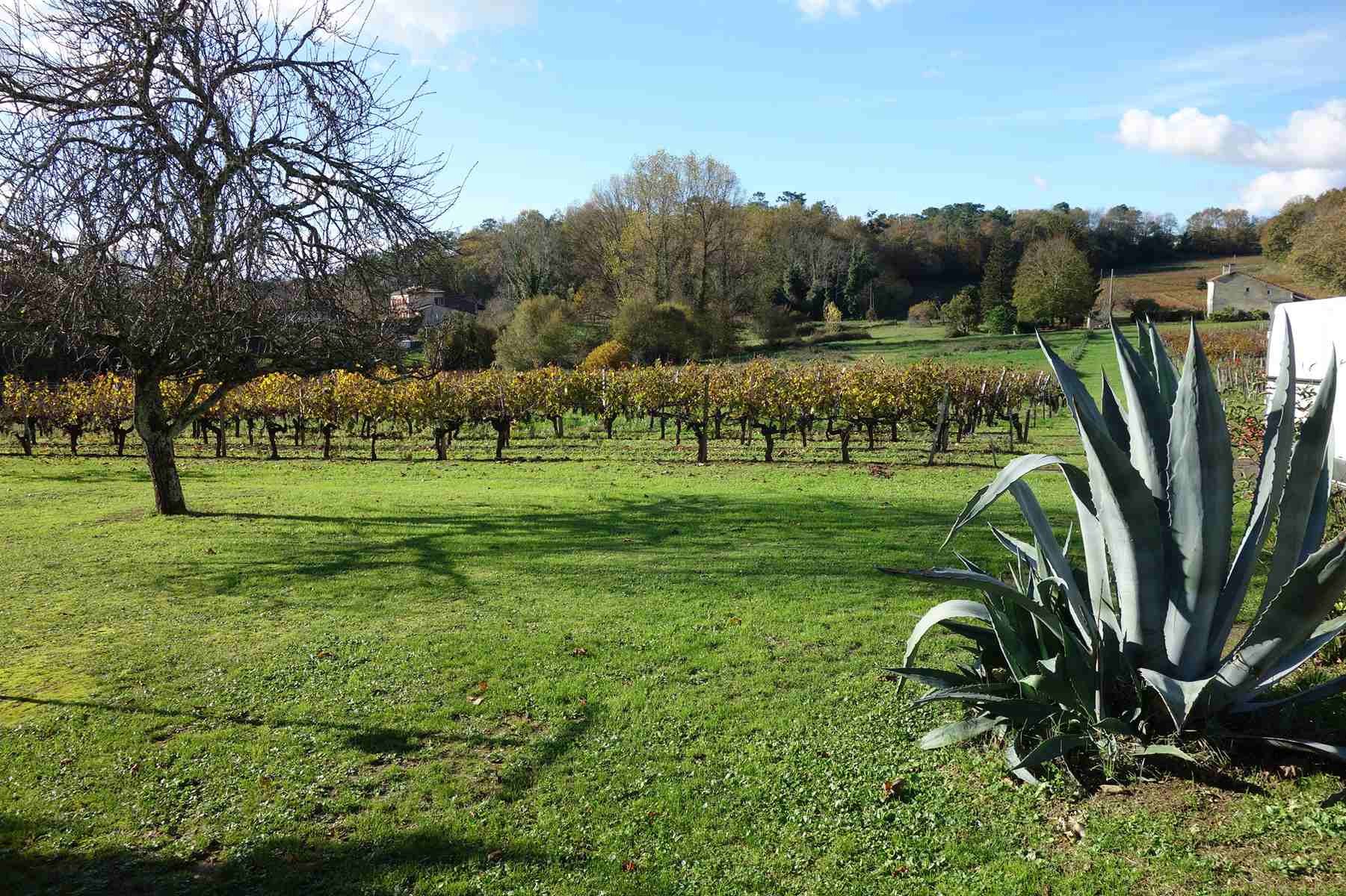 Vente Maison à Bourg 6 pièces