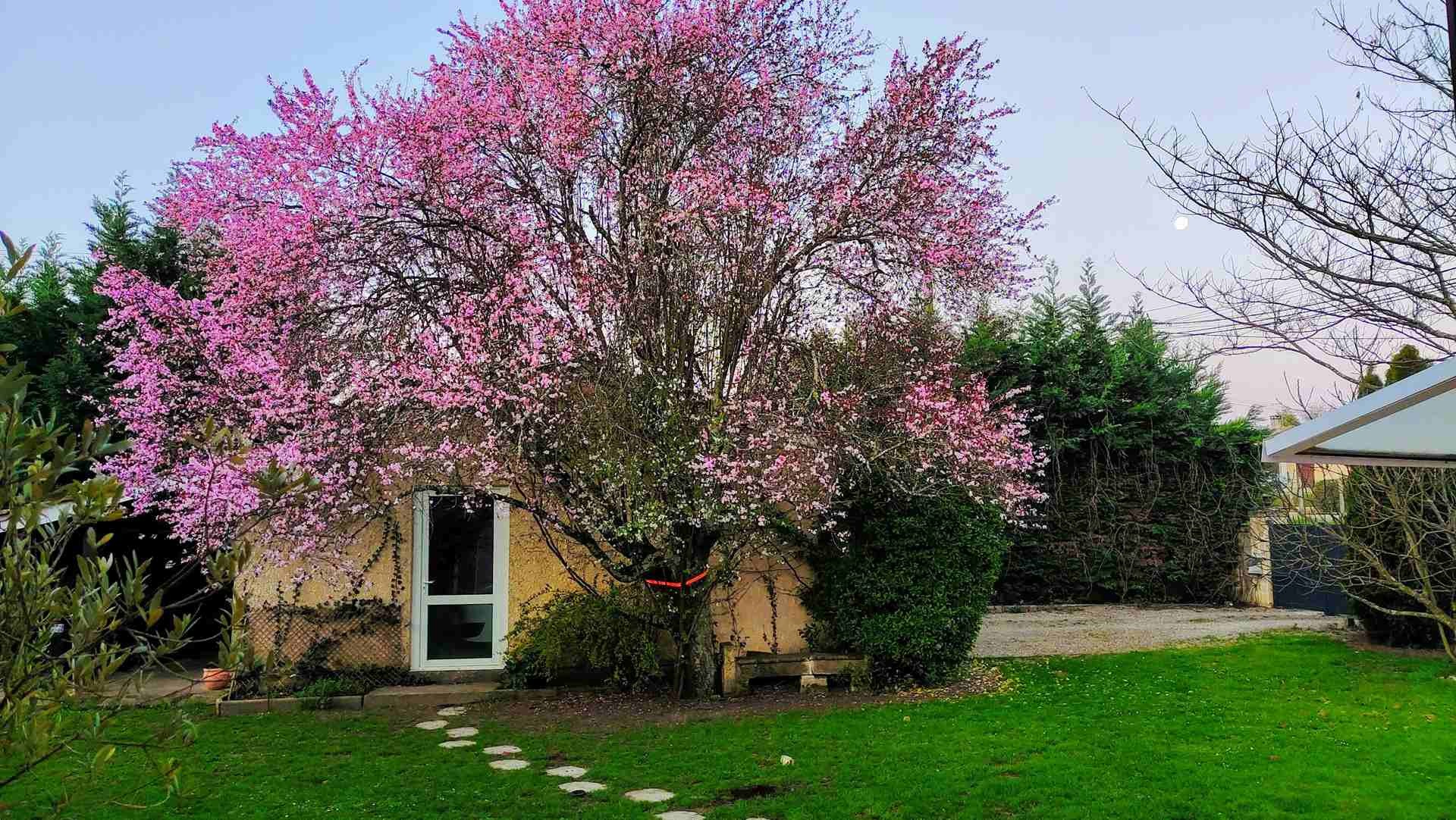 Vente Maison à Bayon-sur-Gironde 5 pièces