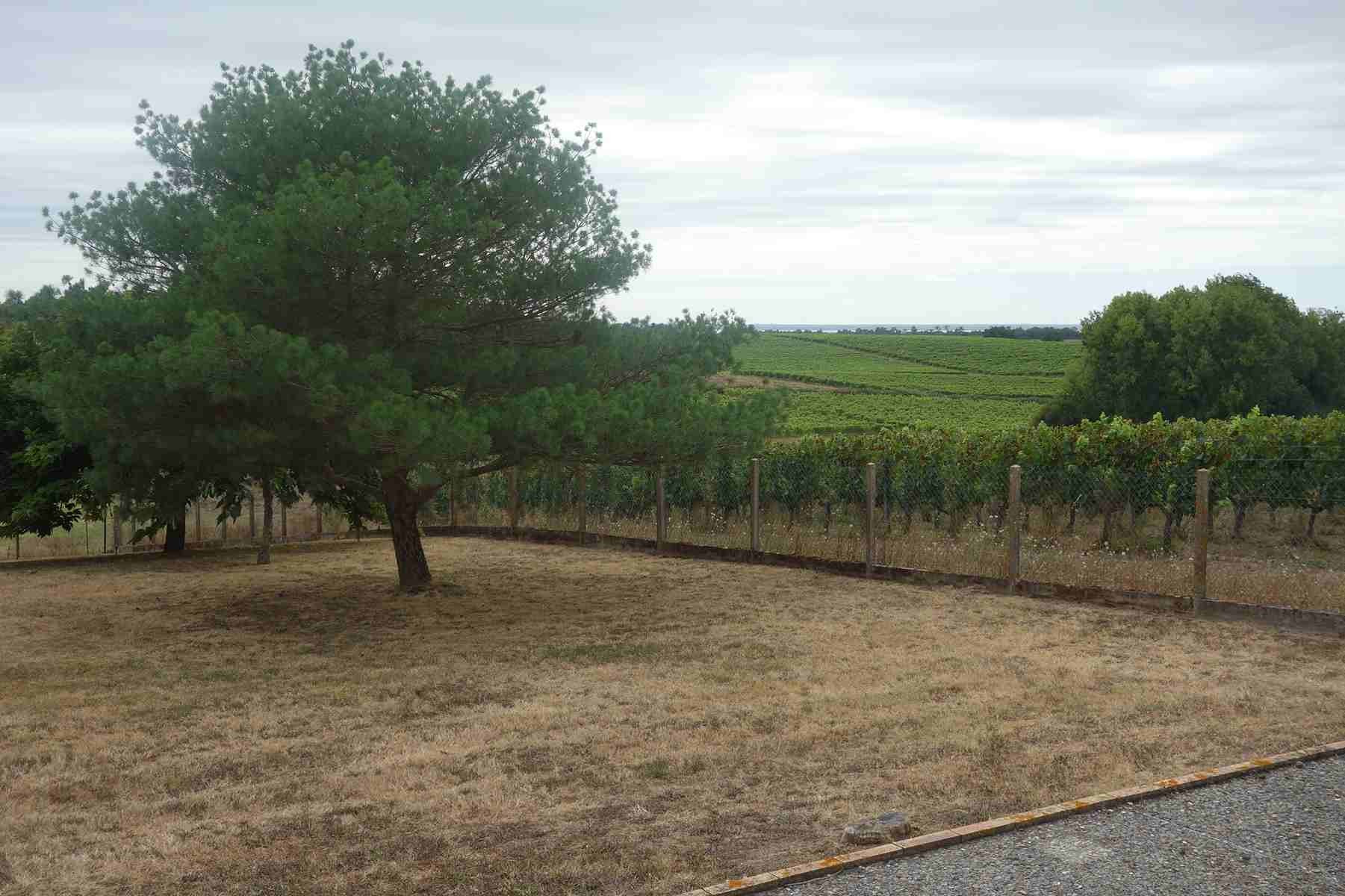 Vente Maison à Saint-Ciers-sur-Gironde 6 pièces