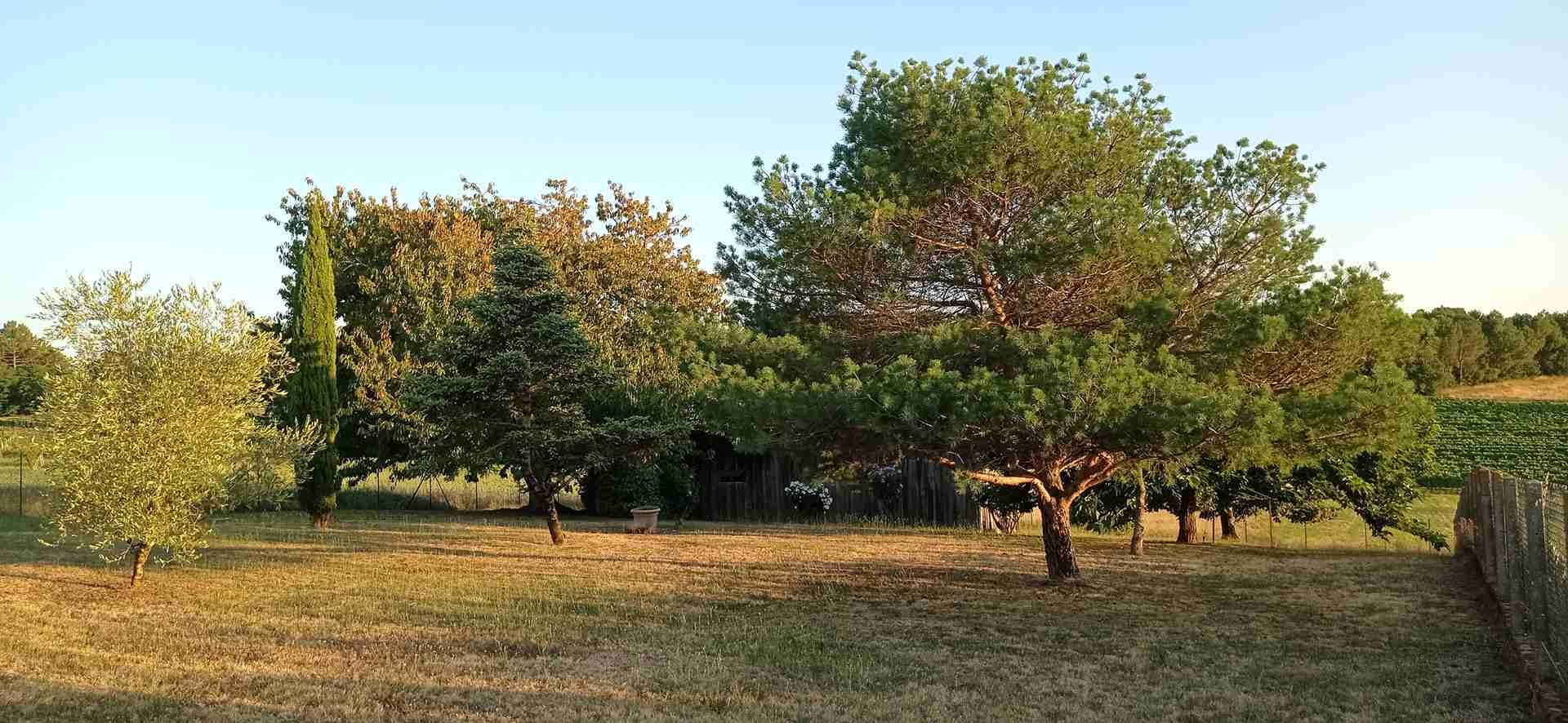 Vente Maison à Saint-Ciers-sur-Gironde 6 pièces