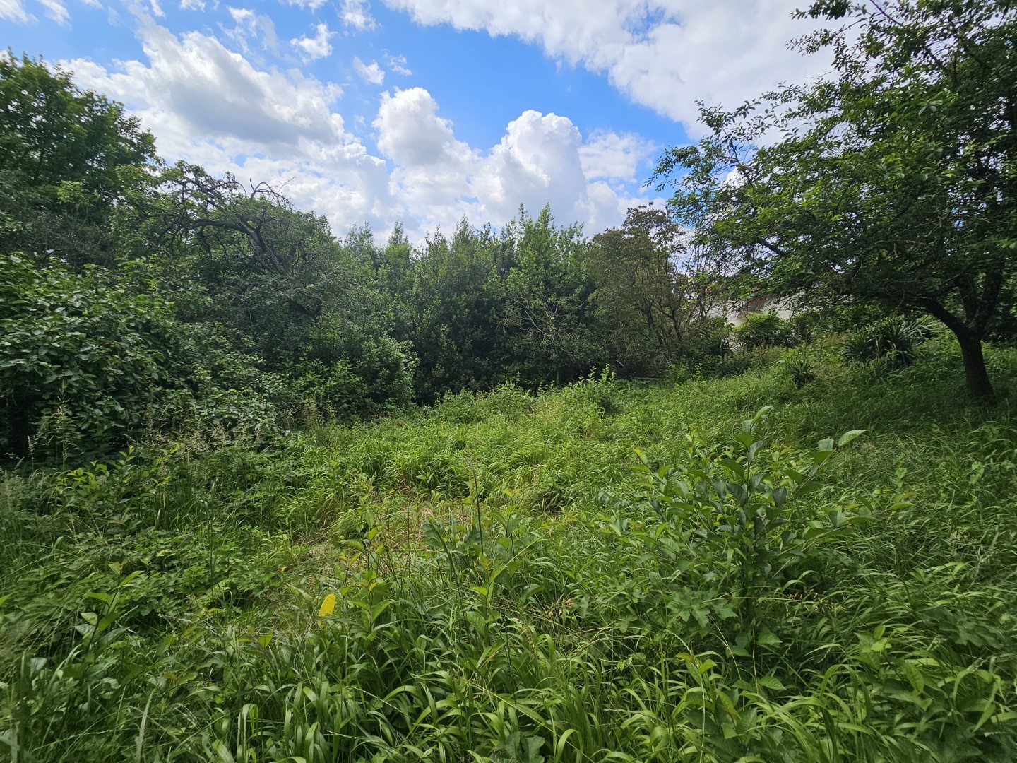 Vente Terrain à Chennevières-sur-Marne 0 pièce