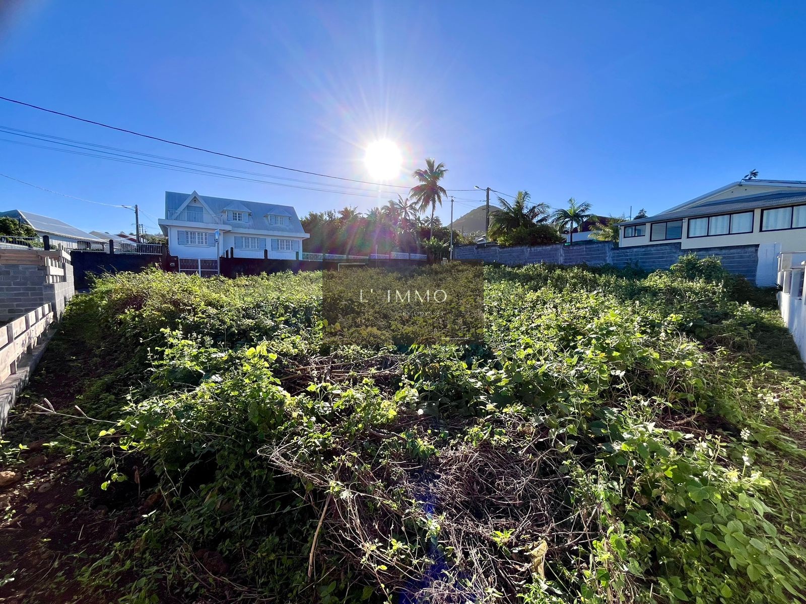 Vente Terrain à Saint-Pierre 1 pièce