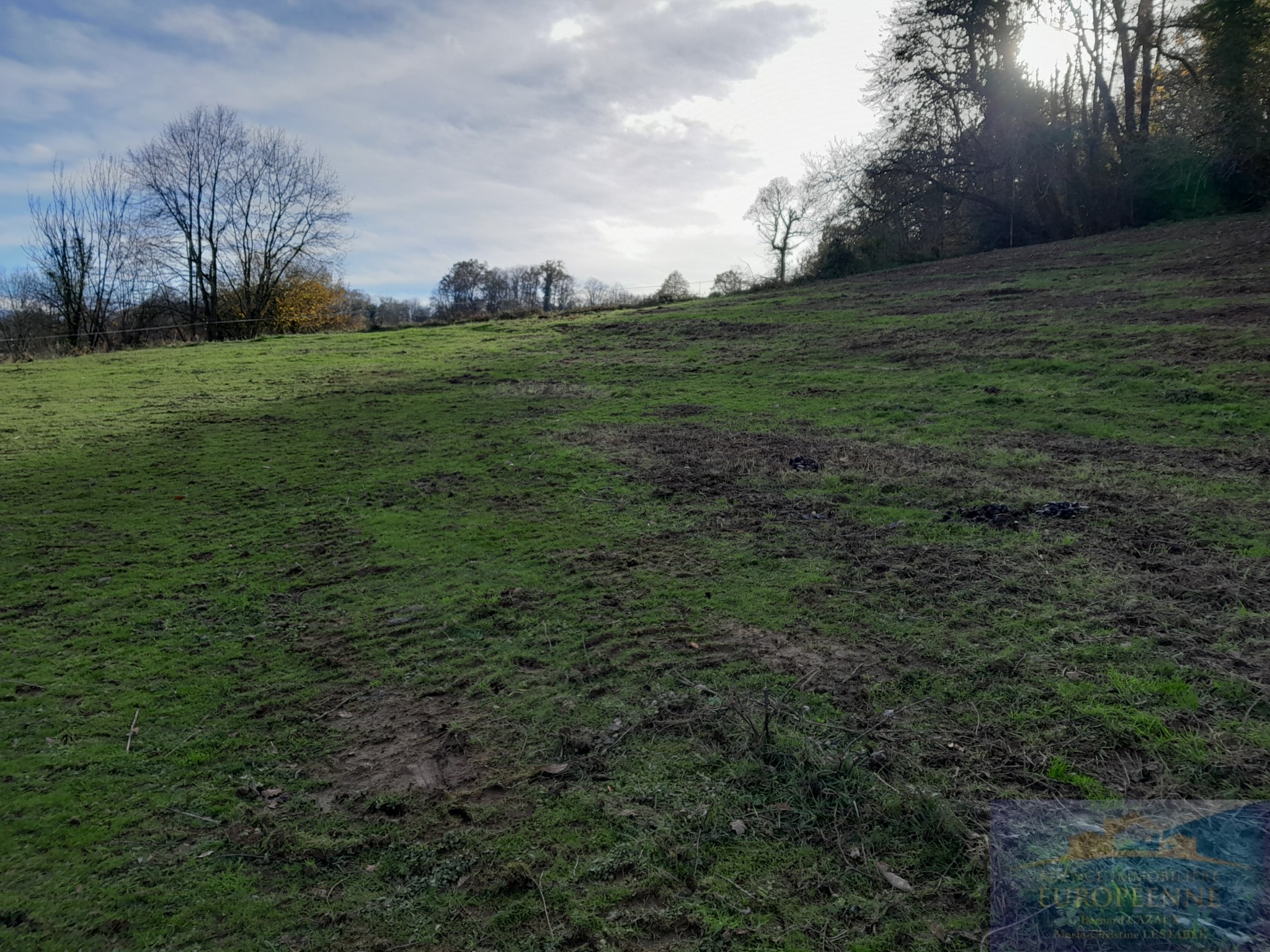 Vente Terrain à Poueyferré 0 pièce