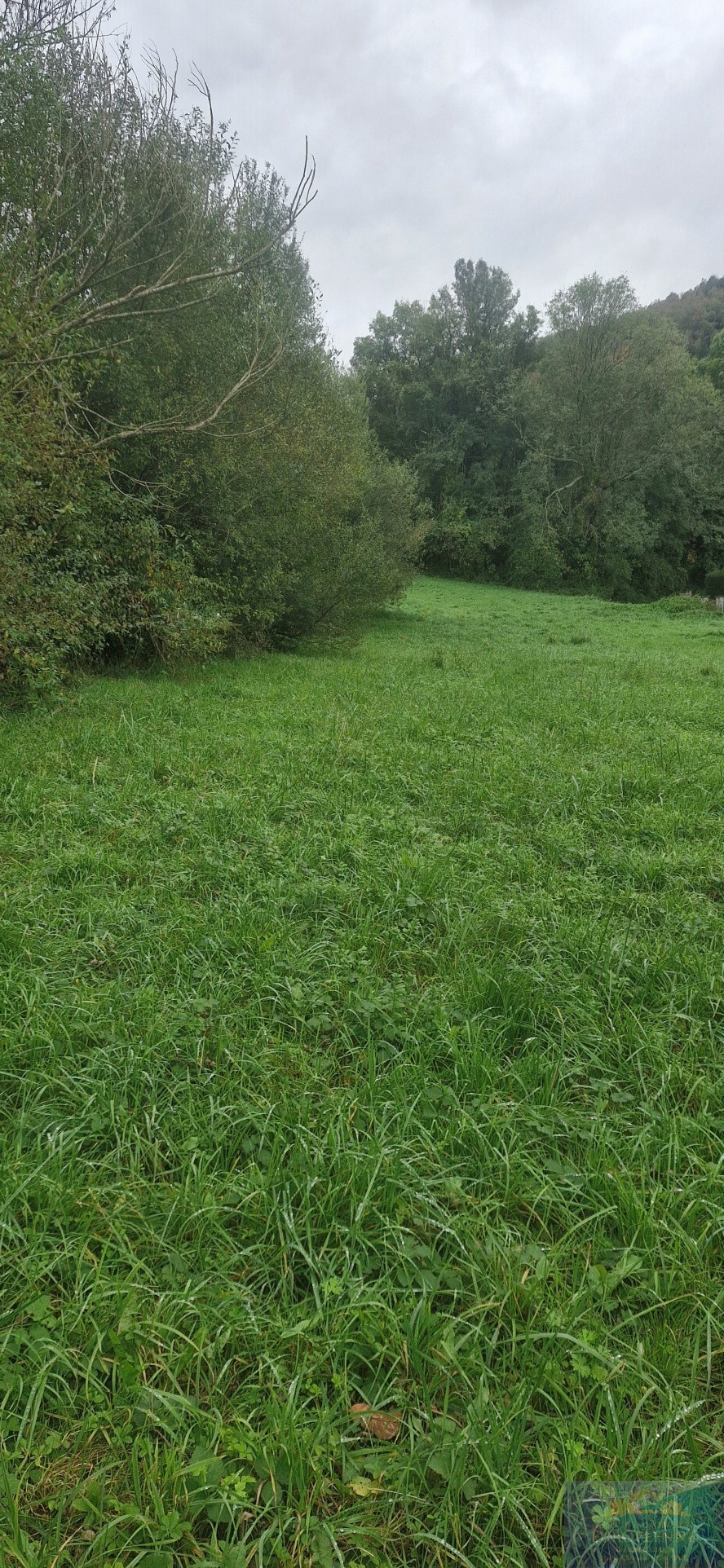 Vente Terrain à Lourdes 0 pièce