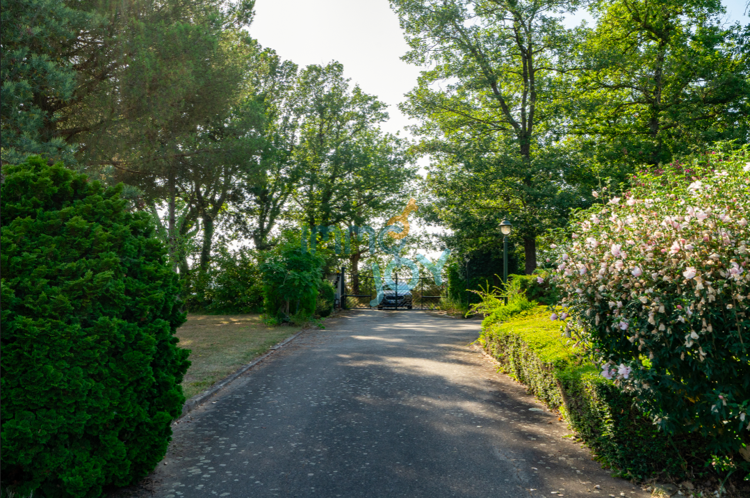 Vente Maison à Lacroix-Falgarde 11 pièces