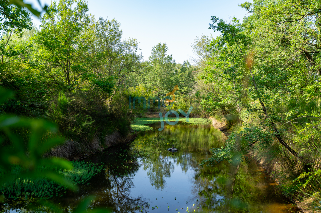 Vente Maison à Lacroix-Falgarde 11 pièces